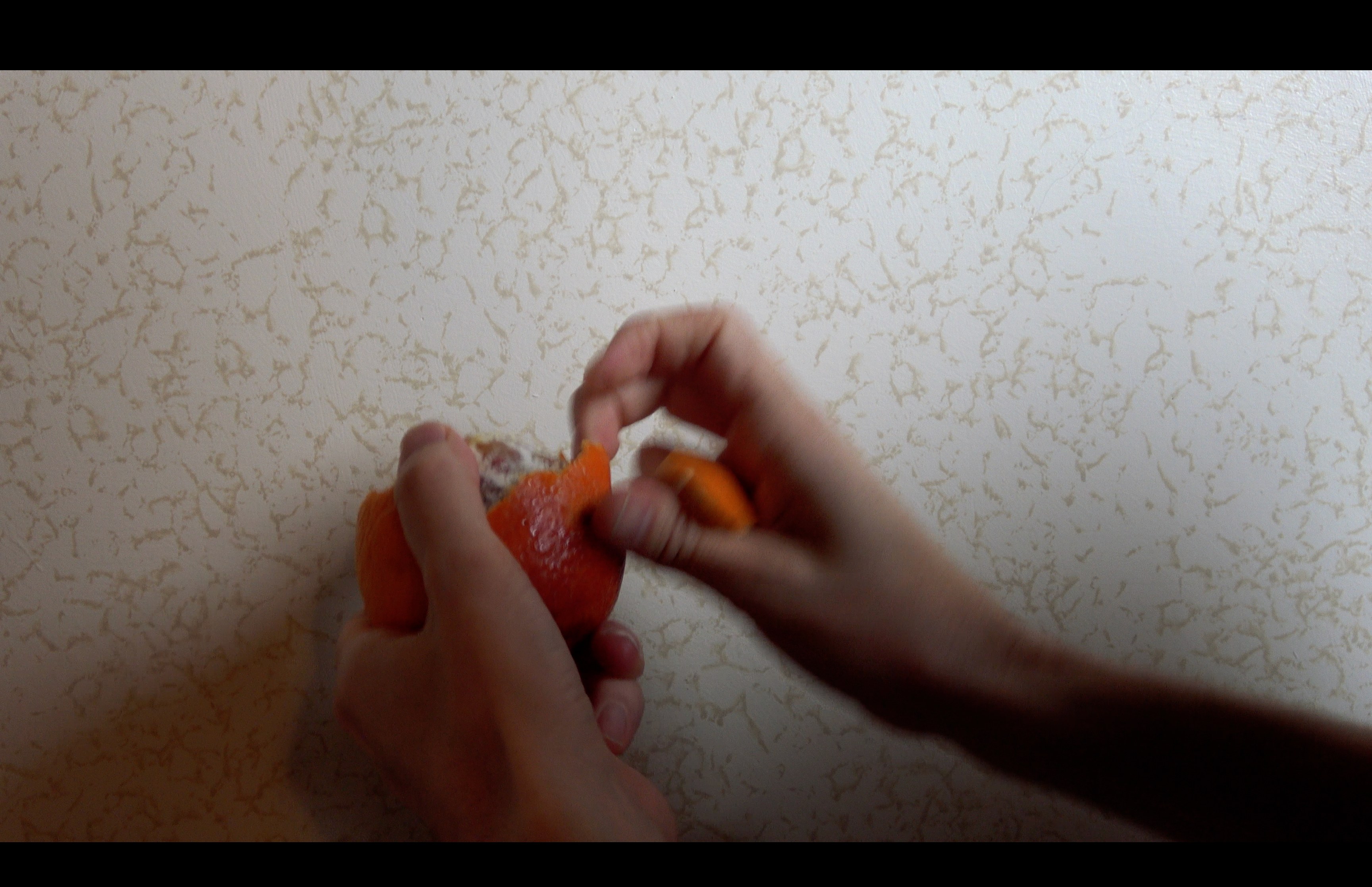 Hertta Kiiski, Fever Dream at NOON Projects, photo 38