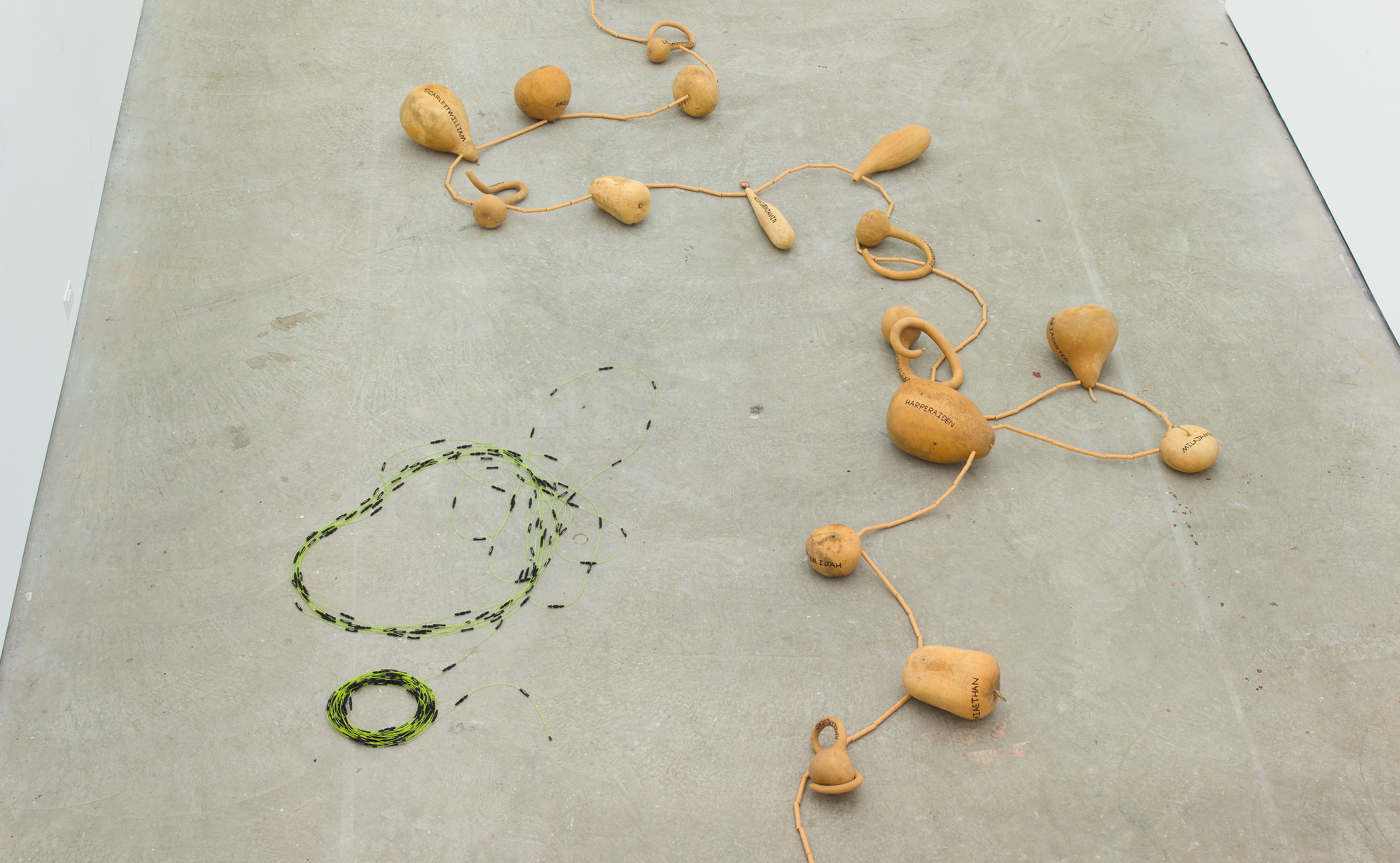 SoiL Thornton, Sustenance Traversing Foundational Urgencies (STFU [some])(Re-Faux Outing) at Maxwell Graham, photo 7
