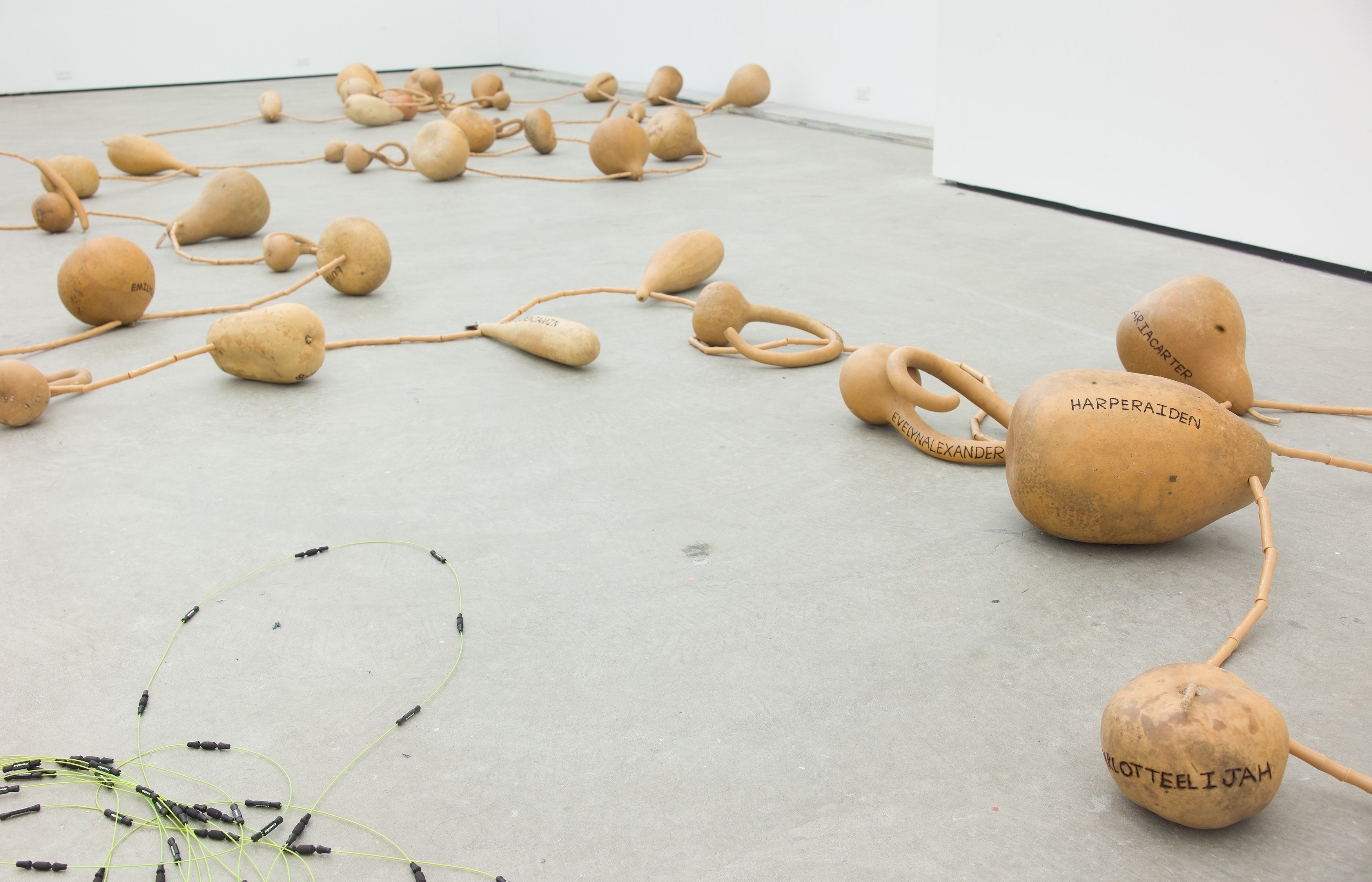 SoiL Thornton, Sustenance Traversing Foundational Urgencies (STFU [some])(Re-Faux Outing) at Maxwell Graham, photo 10