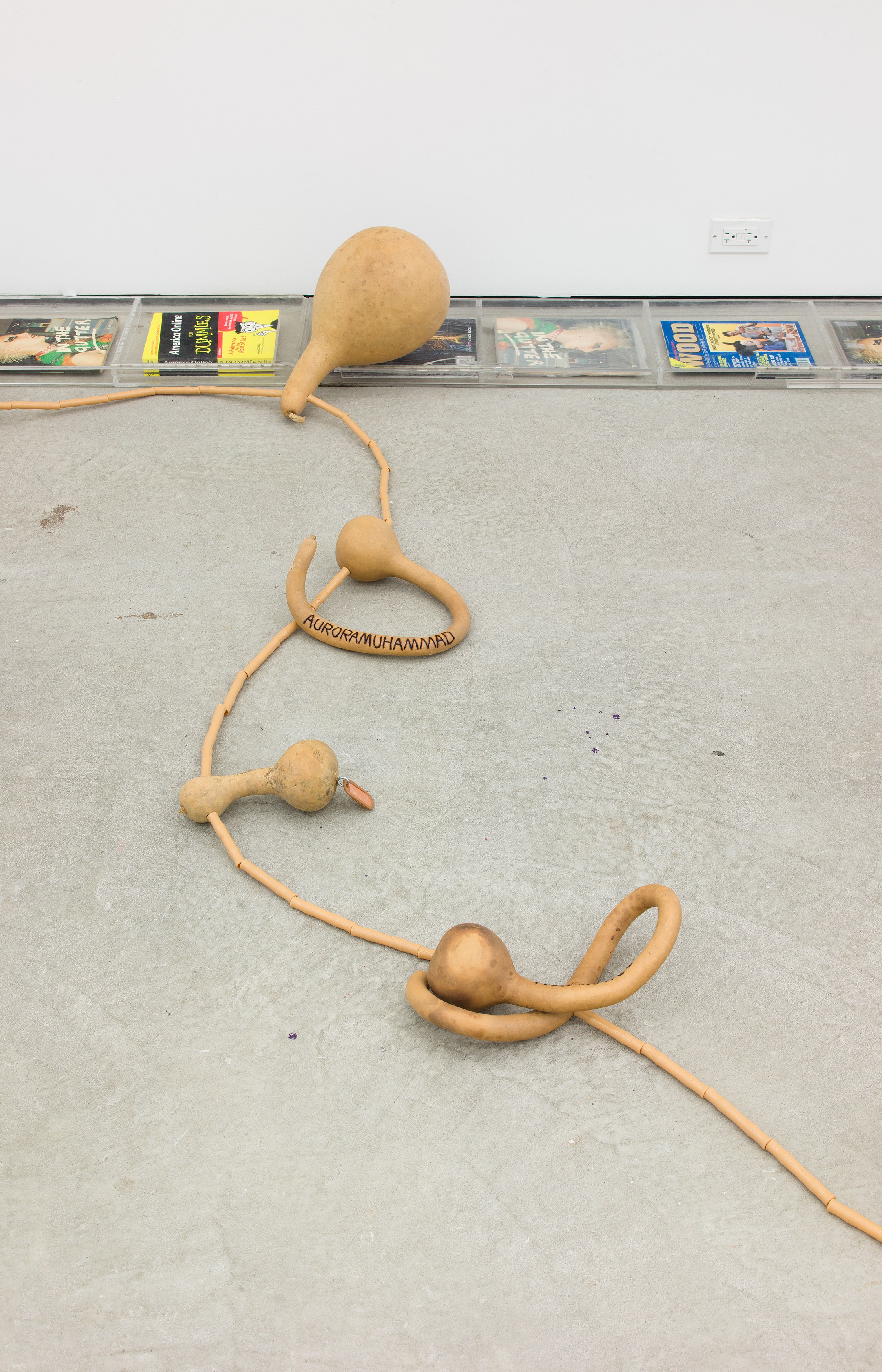 SoiL Thornton, Sustenance Traversing Foundational Urgencies (STFU [some])(Re-Faux Outing) at Maxwell Graham, photo 11