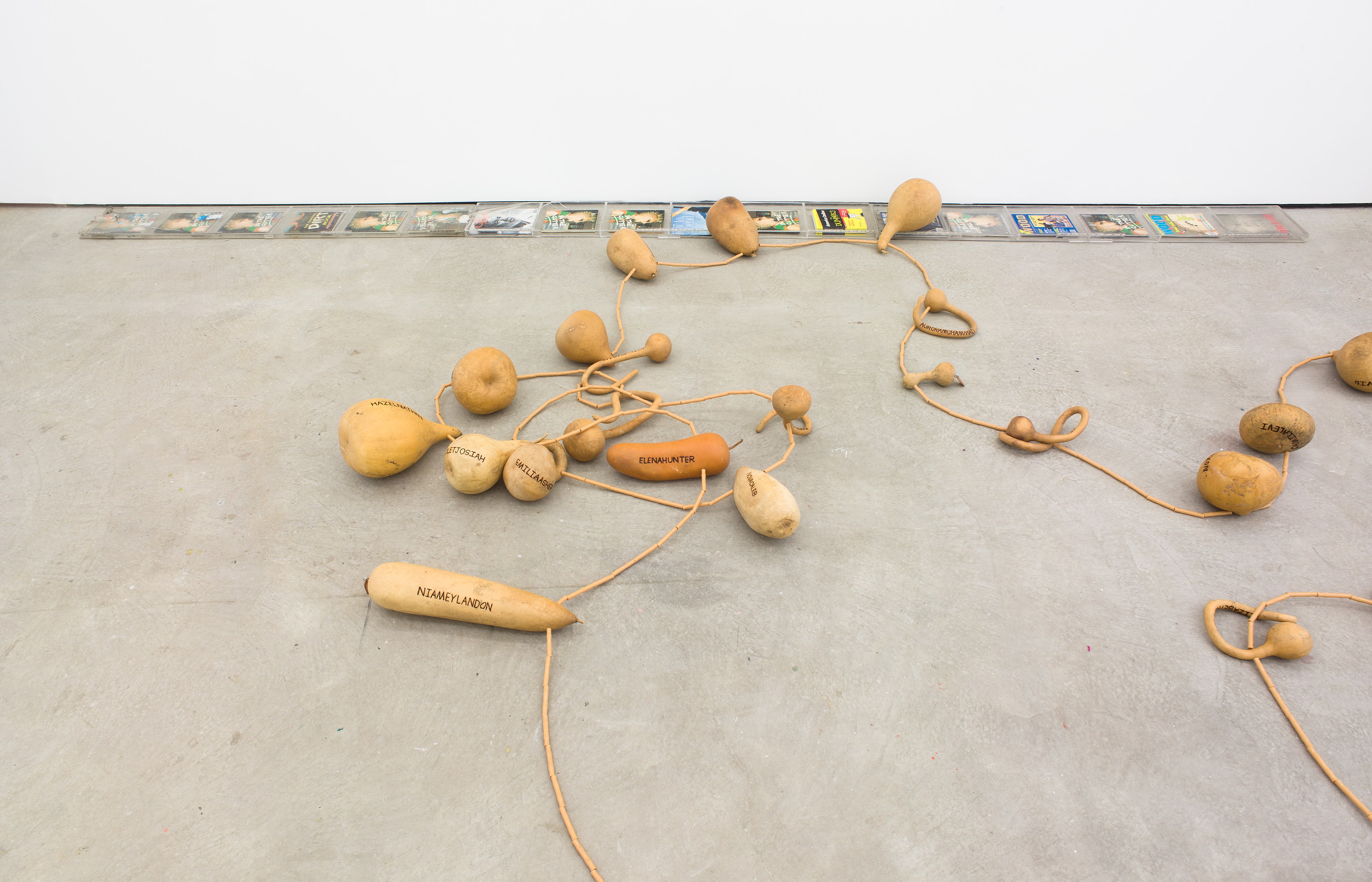 SoiL Thornton, Sustenance Traversing Foundational Urgencies (STFU [some])(Re-Faux Outing) at Maxwell Graham, photo 16