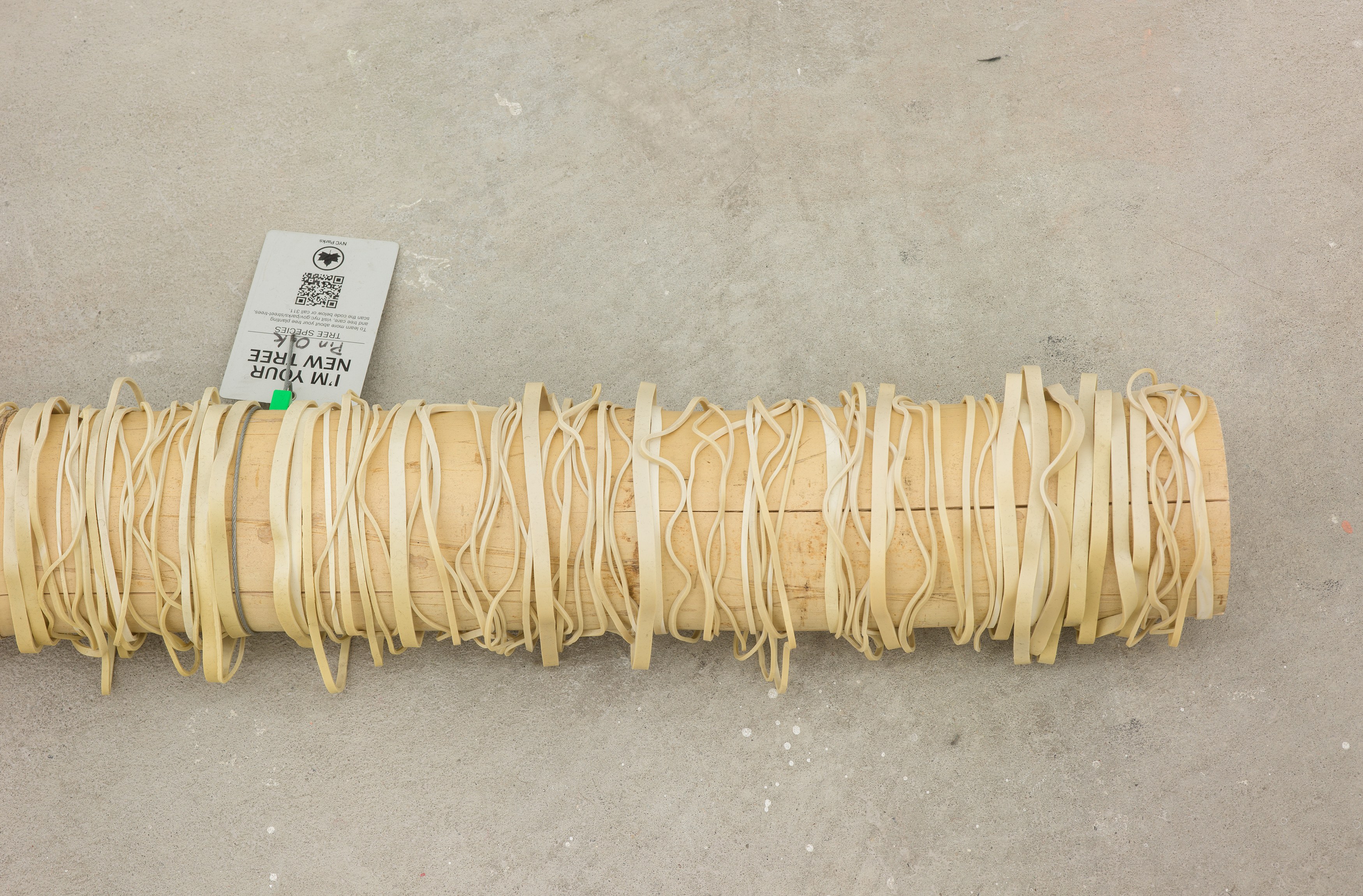 SoiL Thornton, Sustenance Traversing Foundational Urgencies (STFU [some])(Re-Faux Outing) at Maxwell Graham, photo 20