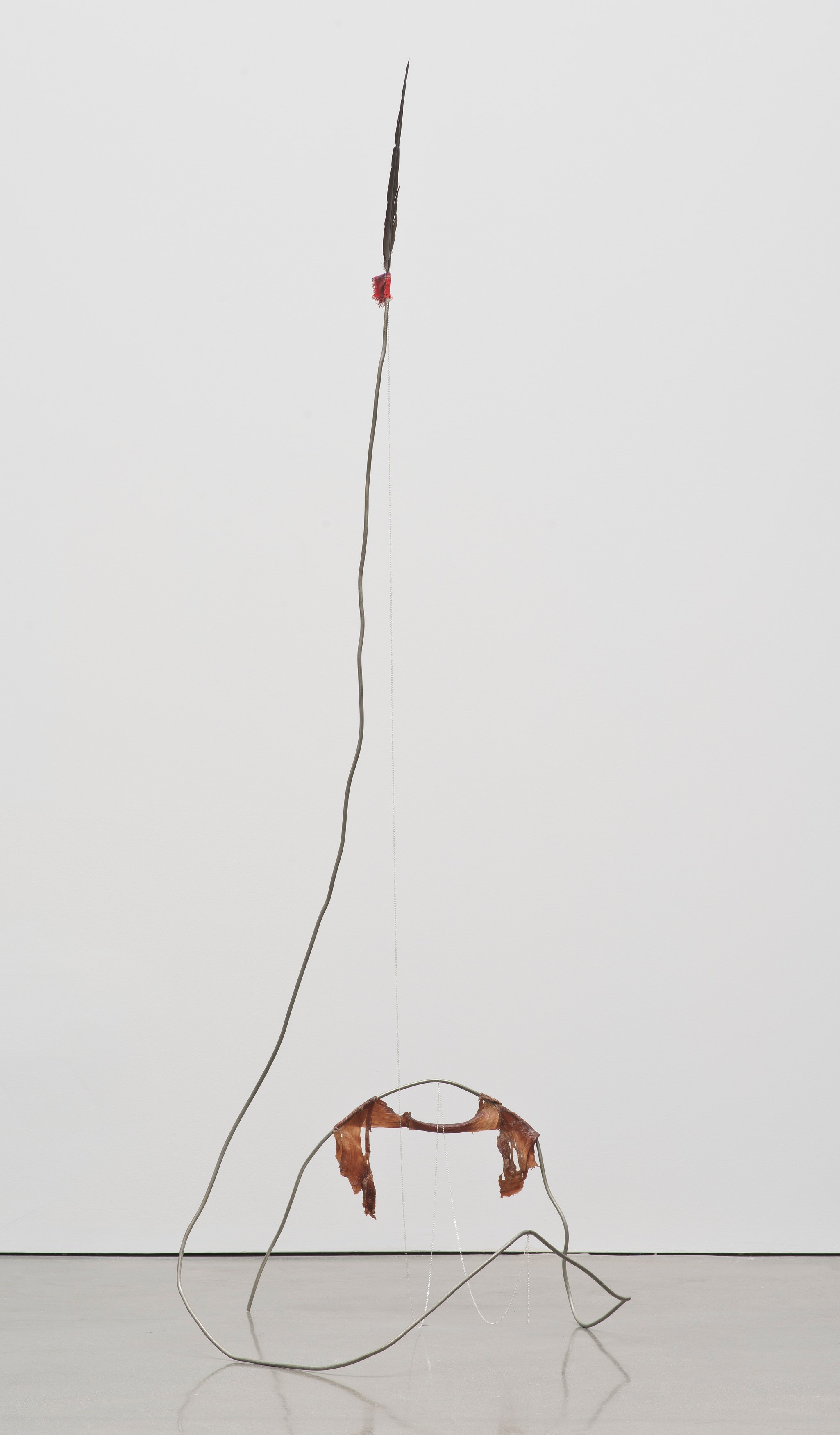 Abraham Cruzvillegas, Autodestrucción at Regen Projects, photo 21