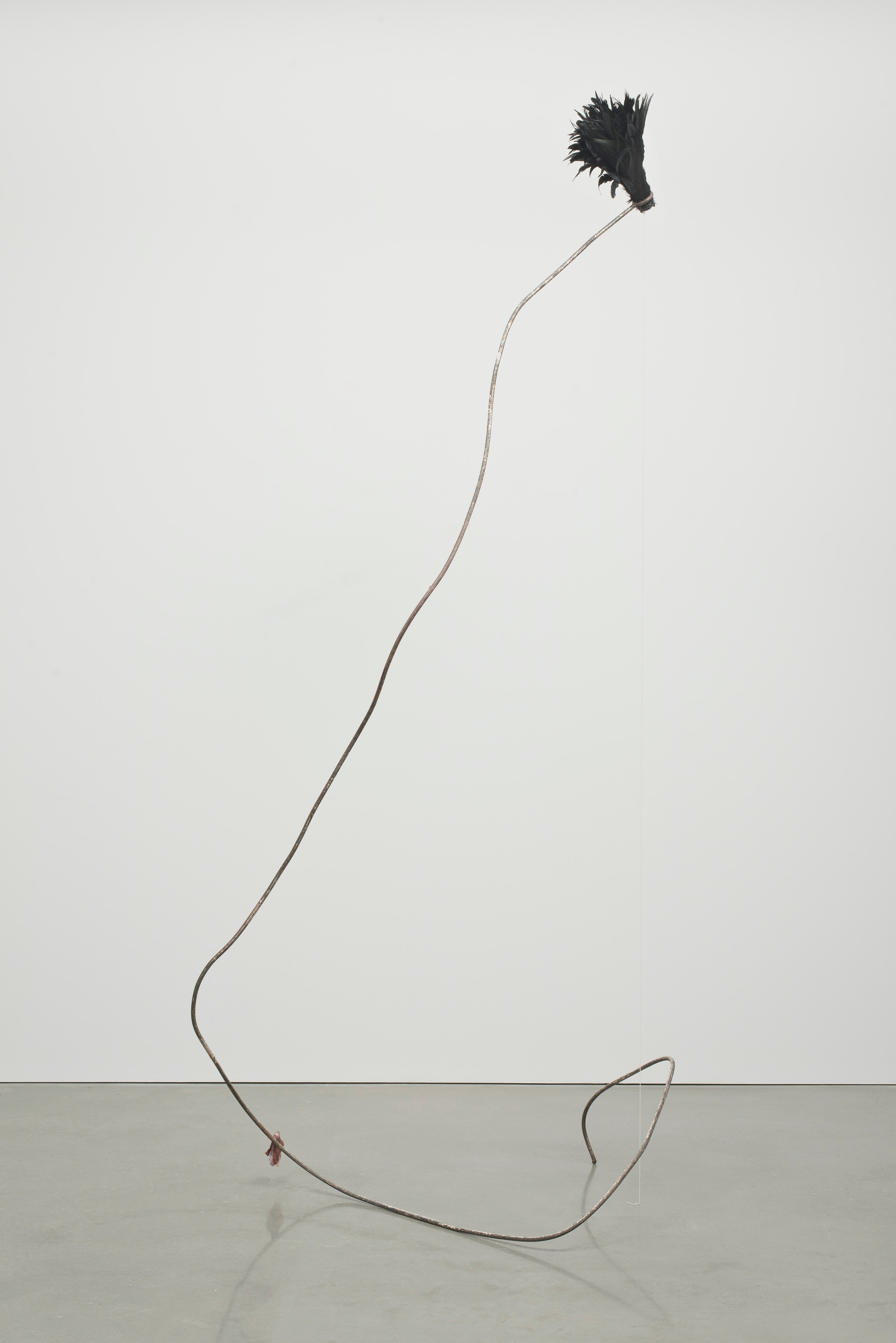 Abraham Cruzvillegas, Autodestrucción at Regen Projects, photo 24