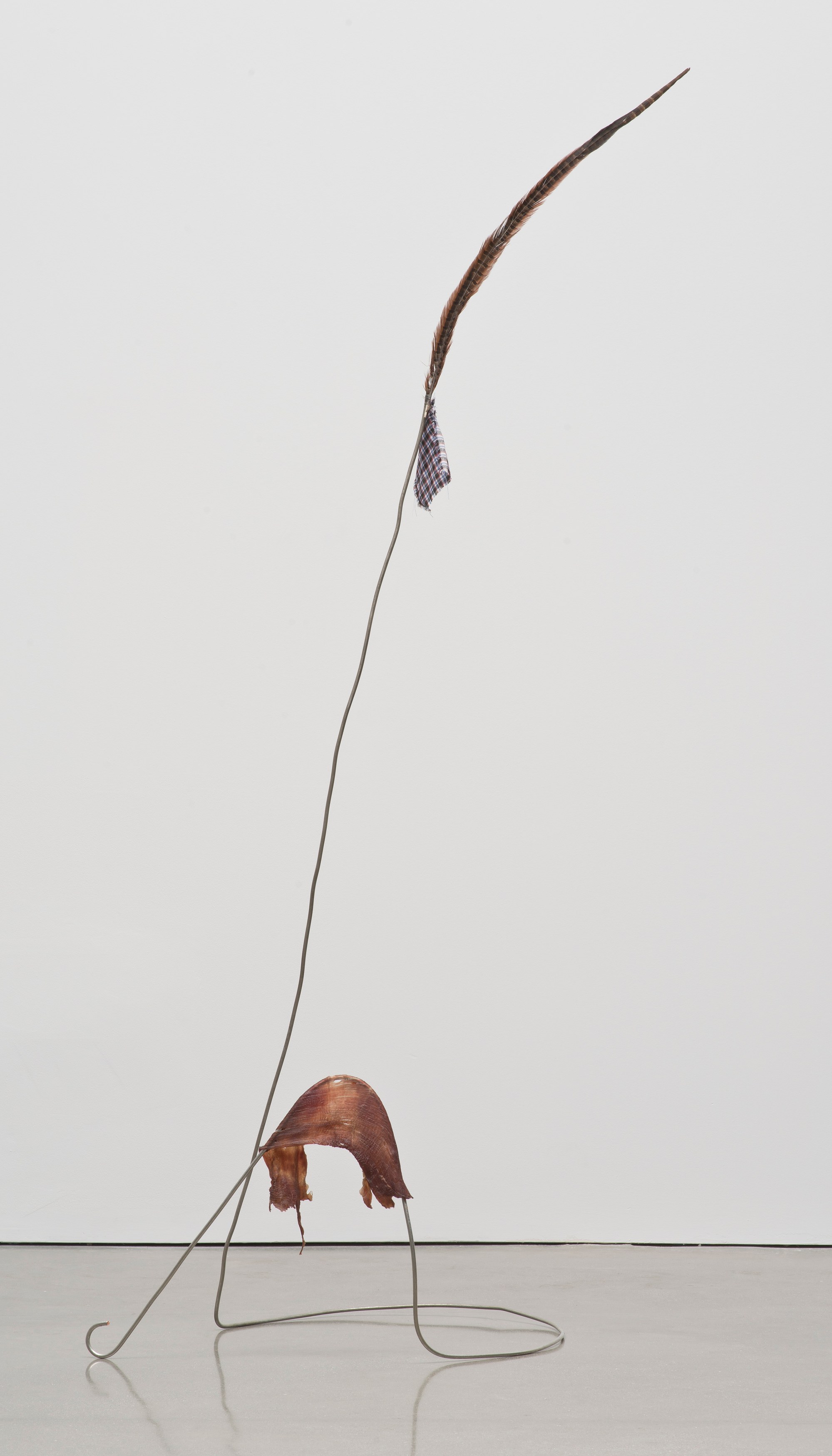 Abraham Cruzvillegas, Autodestrucción at Regen Projects, photo 25