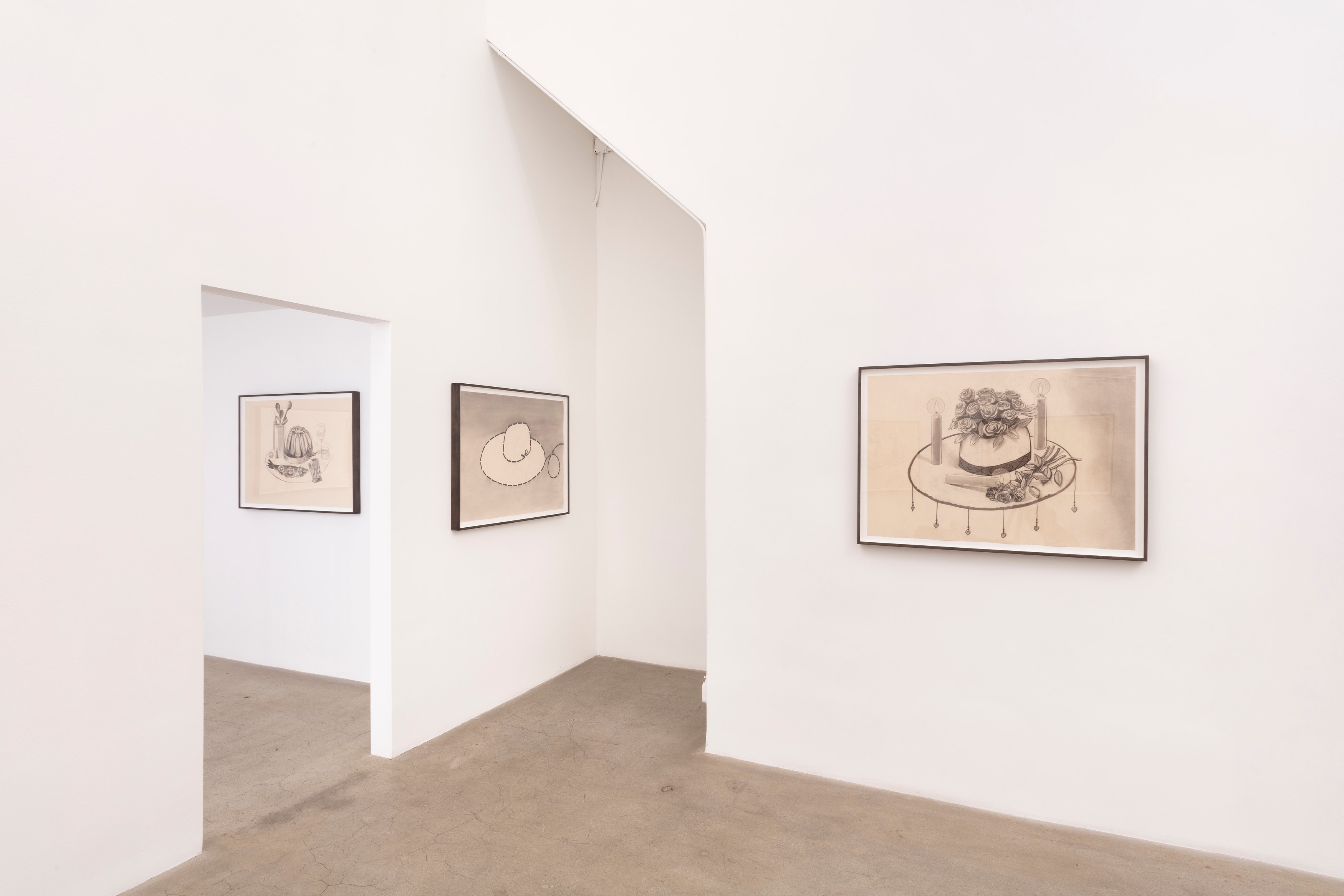 David Shull, FLAT EARTH FALLING WATER at NOON Projects, photo 4