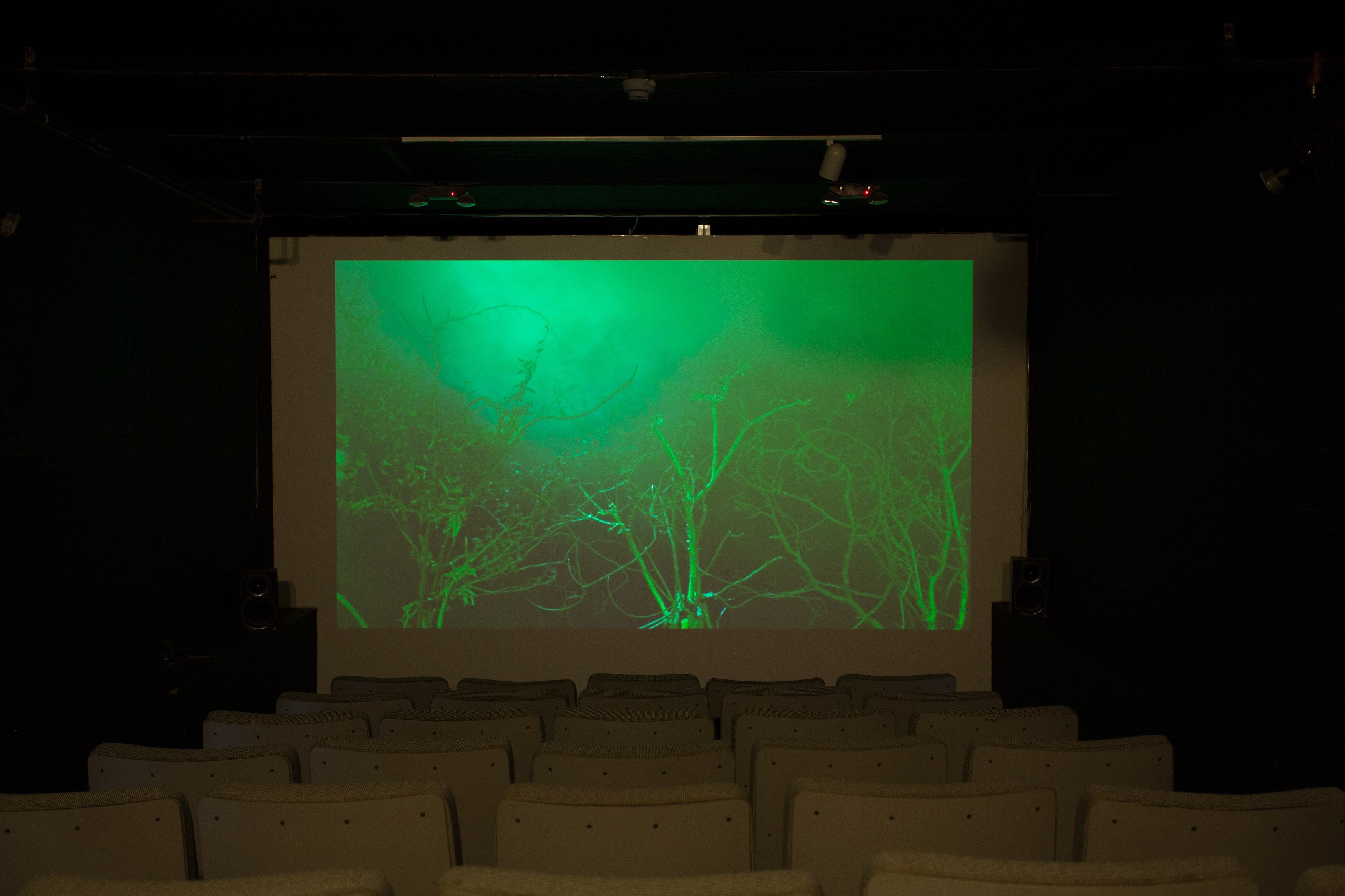 Jos de Gruyter & Harald Thys, Fine Arts at MoMA PS1, photo 112