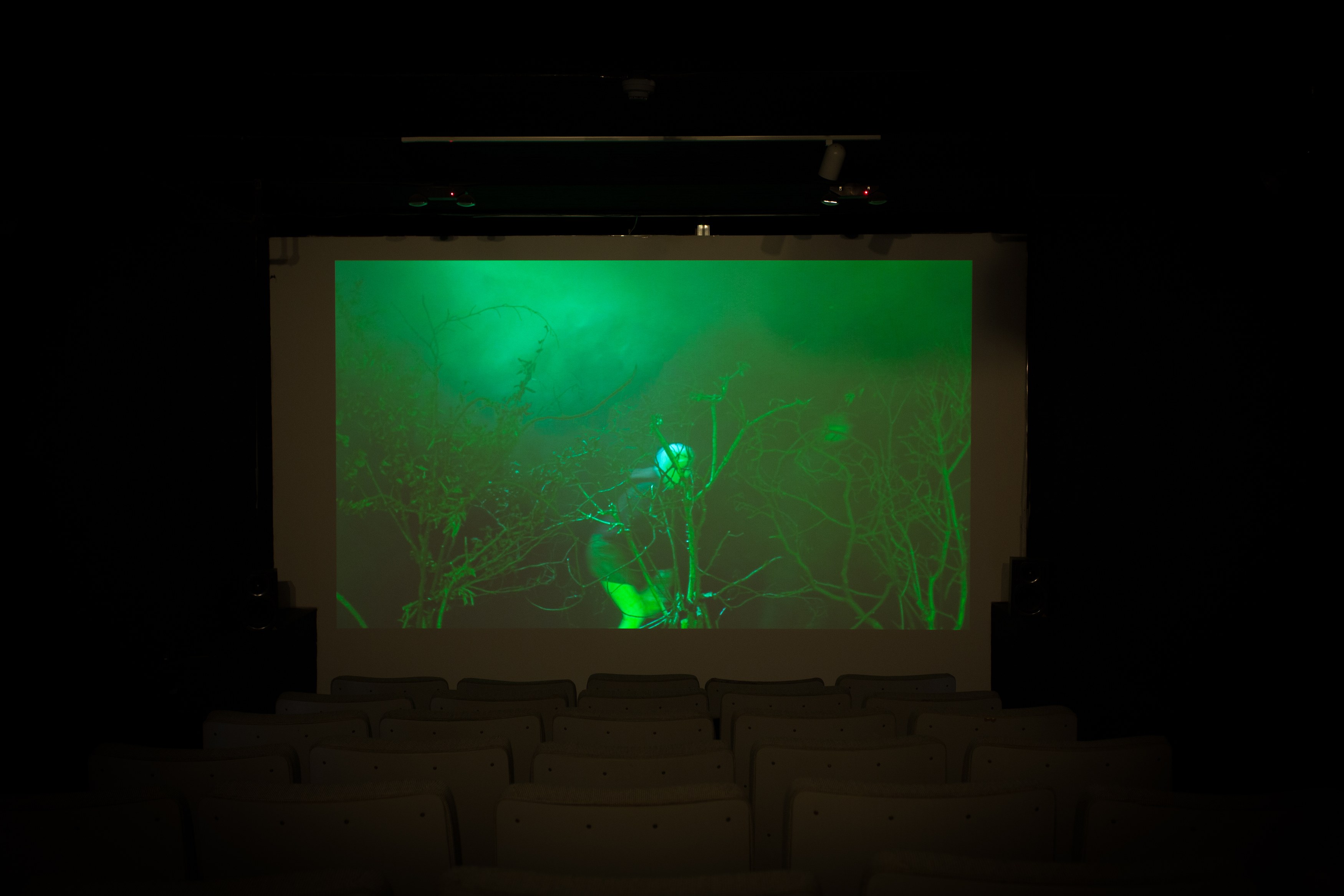 Jos de Gruyter & Harald Thys, Fine Arts at MoMA PS1, photo 113
