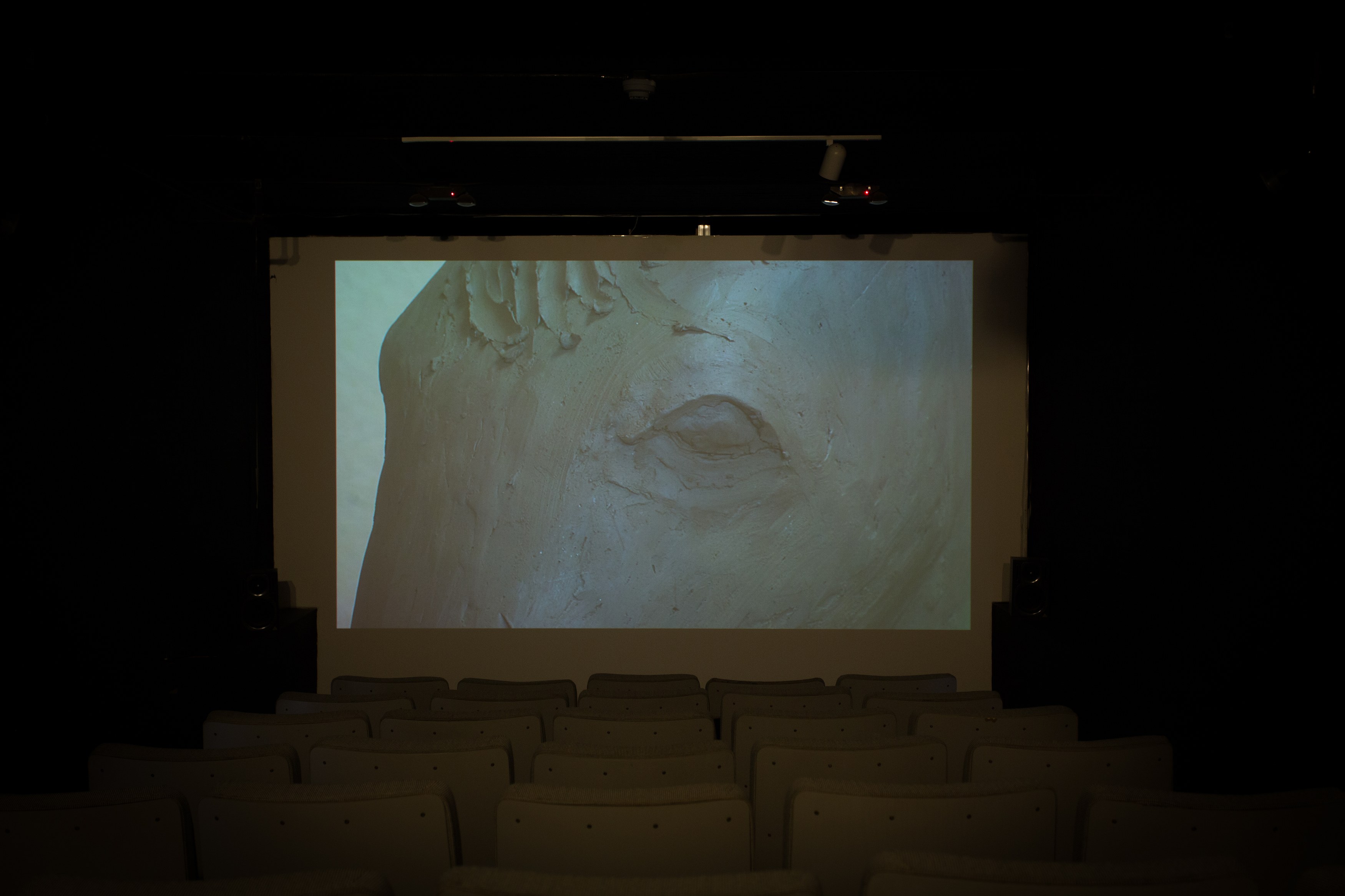 Jos de Gruyter & Harald Thys, Fine Arts at MoMA PS1, photo 131