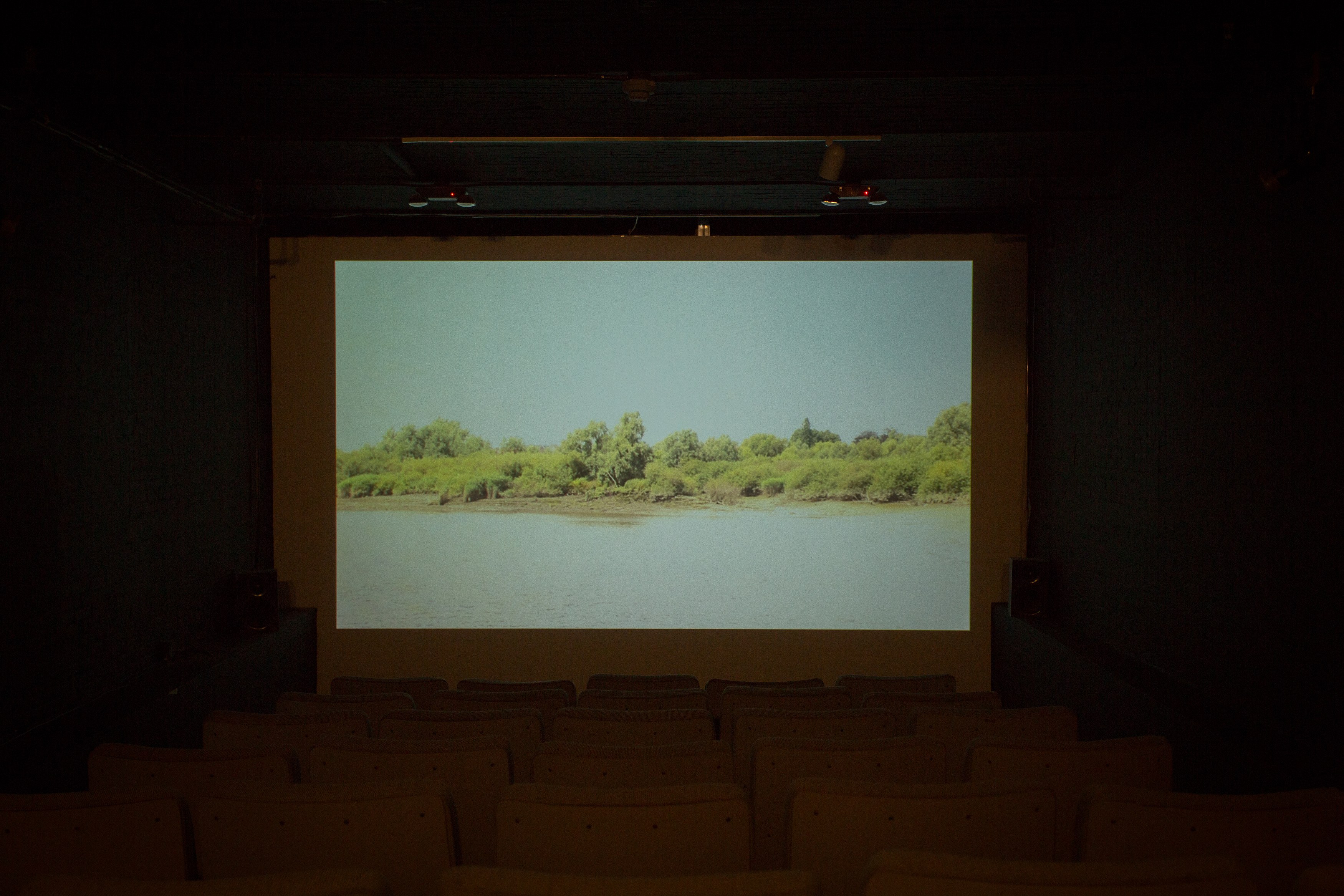 Jos de Gruyter & Harald Thys, Fine Arts at MoMA PS1, photo 132