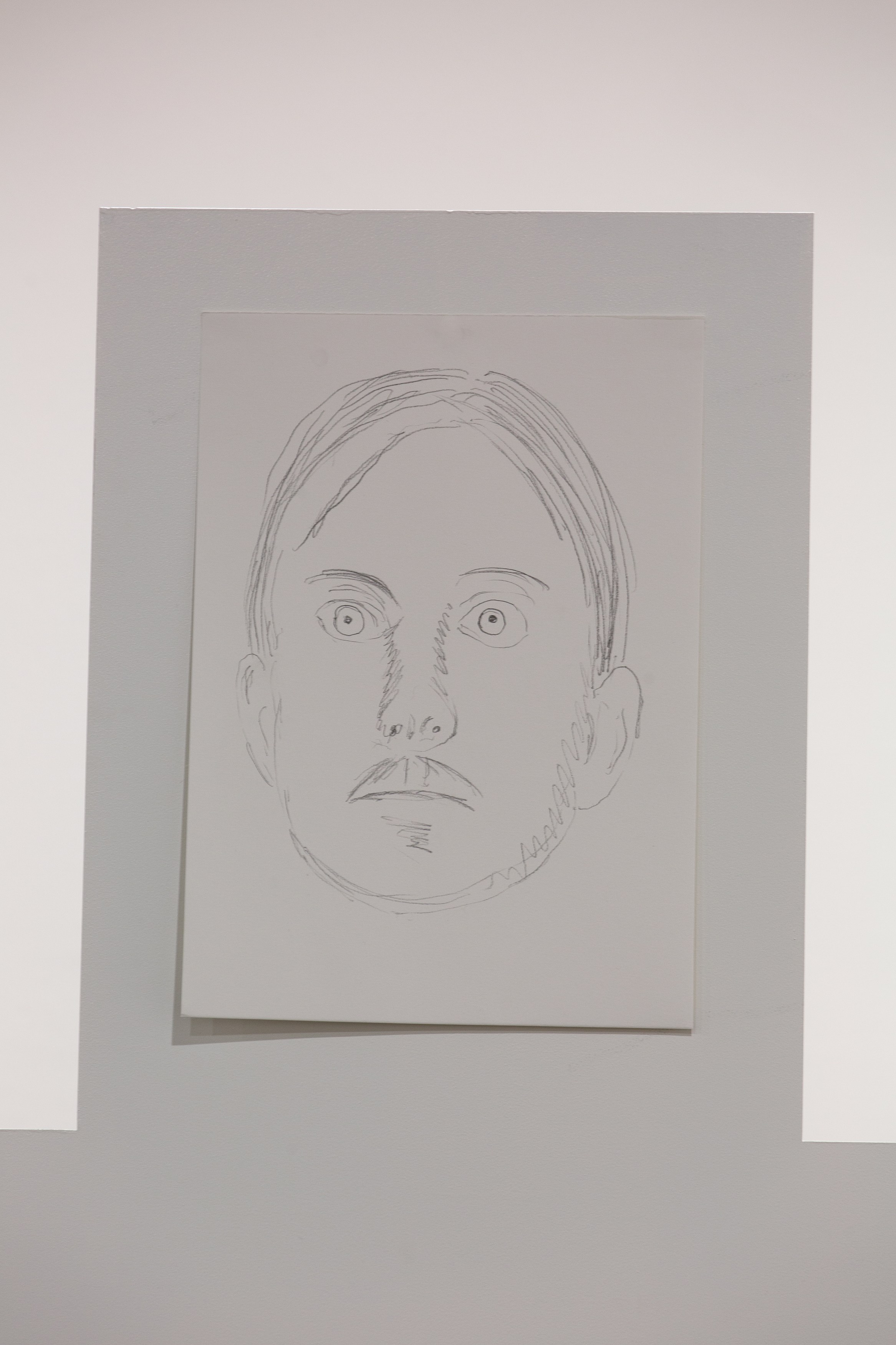 Jos de Gruyter & Harald Thys, Fine Arts at MoMA PS1, photo 137