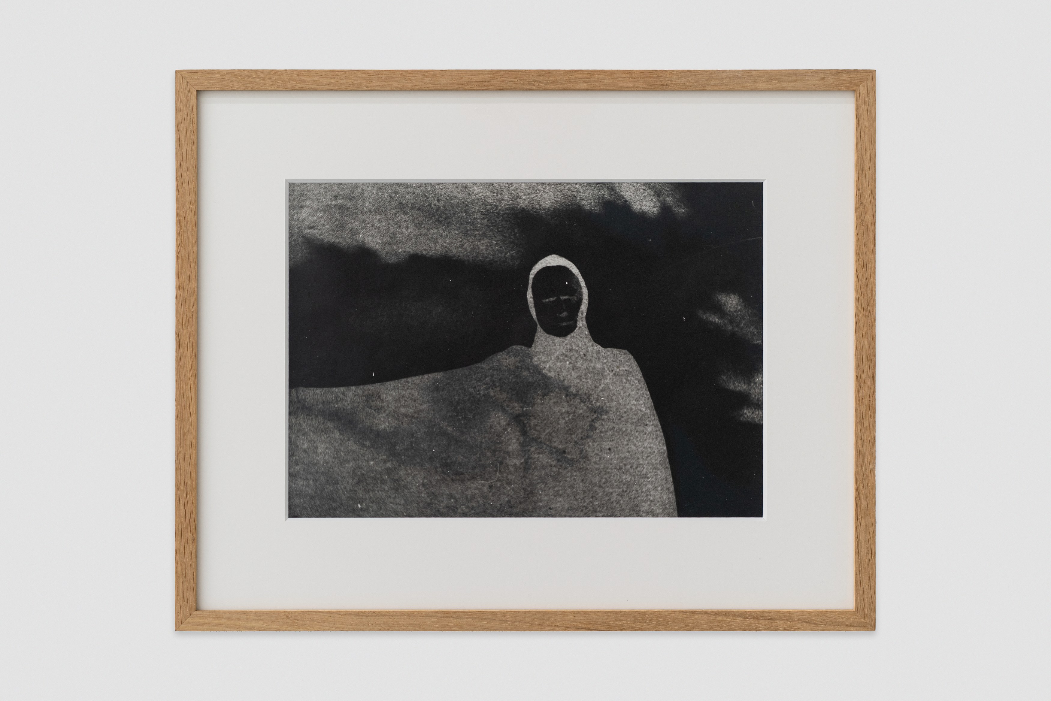 Mickael Marman, Sigmar Polke, Dylan Spaysky, Vulture at Scherben, photo 8