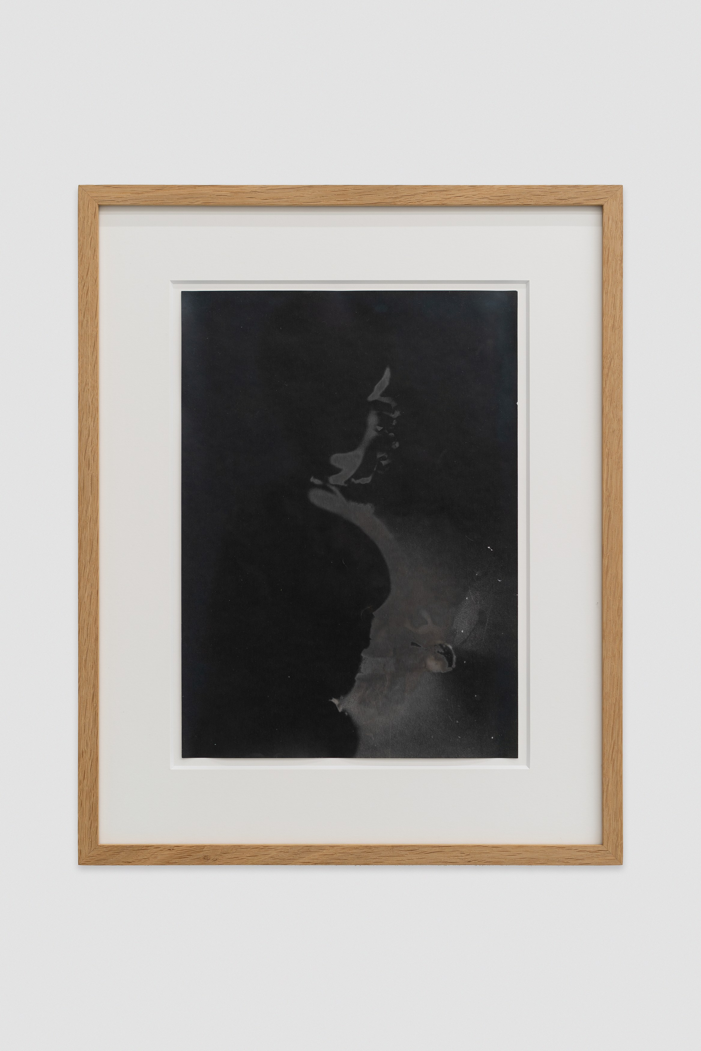 Mickael Marman, Sigmar Polke, Dylan Spaysky, Vulture at Scherben, photo 9