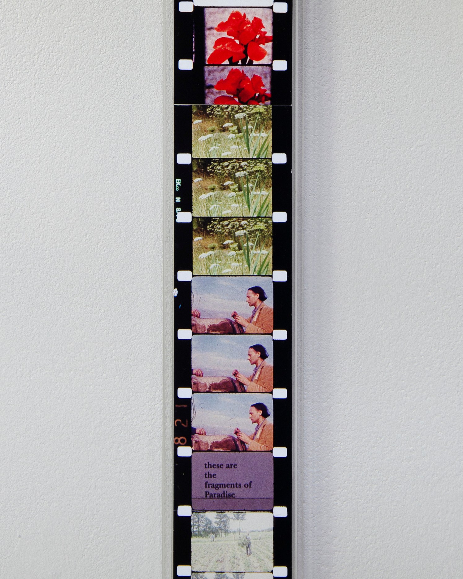 Le Cadre d’or presents a framed selection from Mona Varichon’s ephemera collection, Le Cadre d’or presents a framed selection from Mona Varichon’s ephemera collection at Le Cadre d'or, photo 11