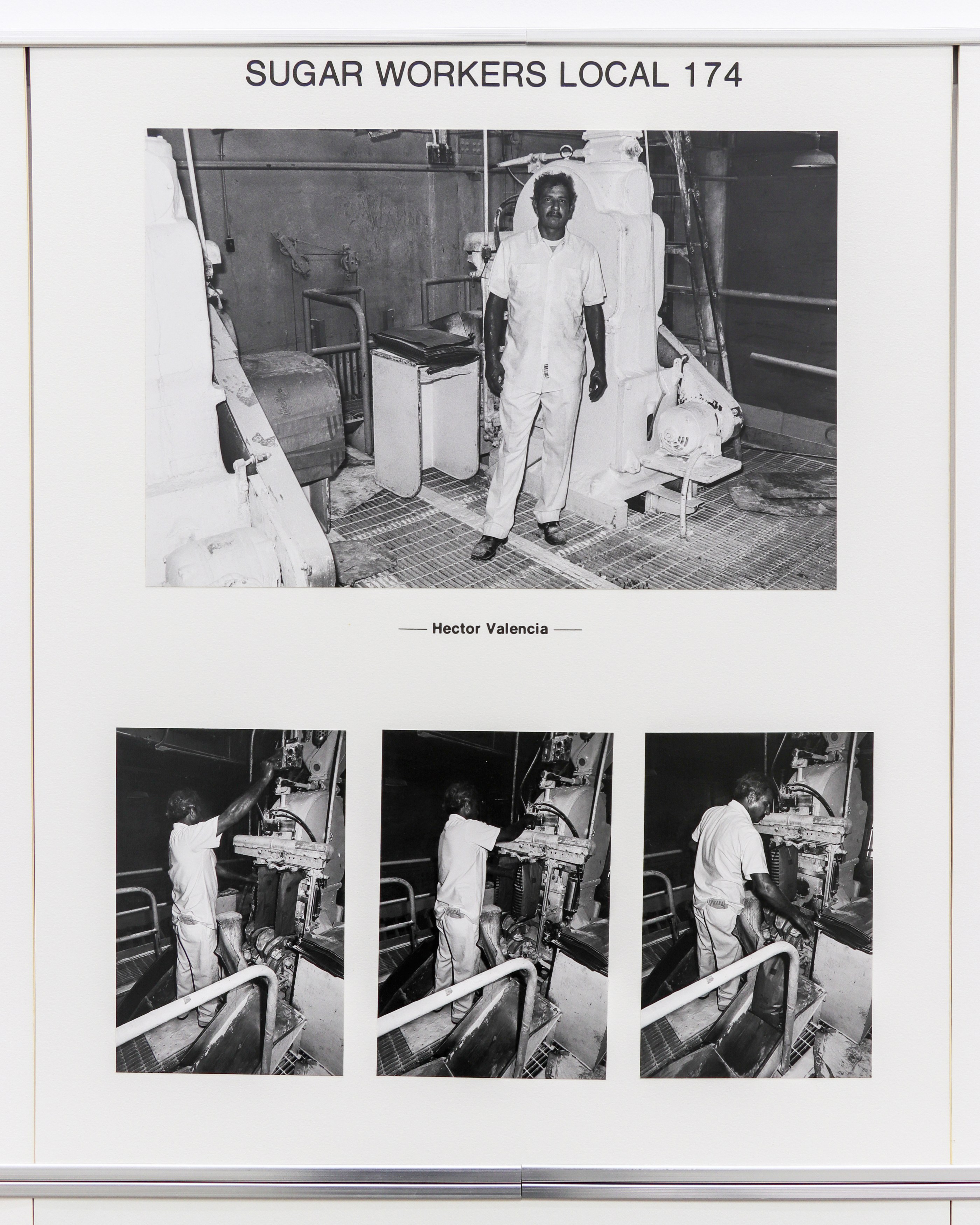 Fred Lonidier, Two Works From The 1980s at Maxwell Graham, photo 28