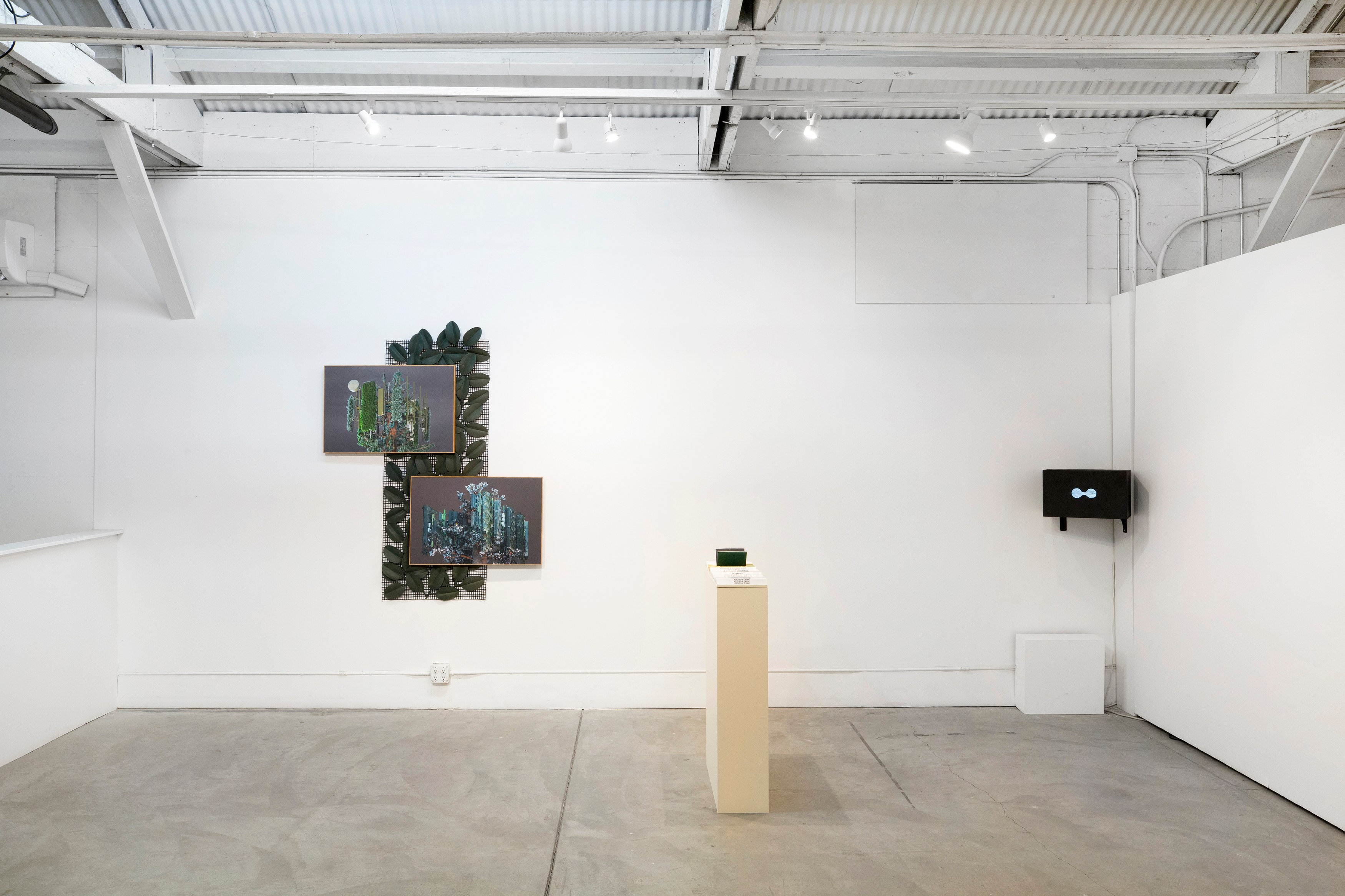 Chimera'd, Chimera'd at Phase Gallery, photo 8