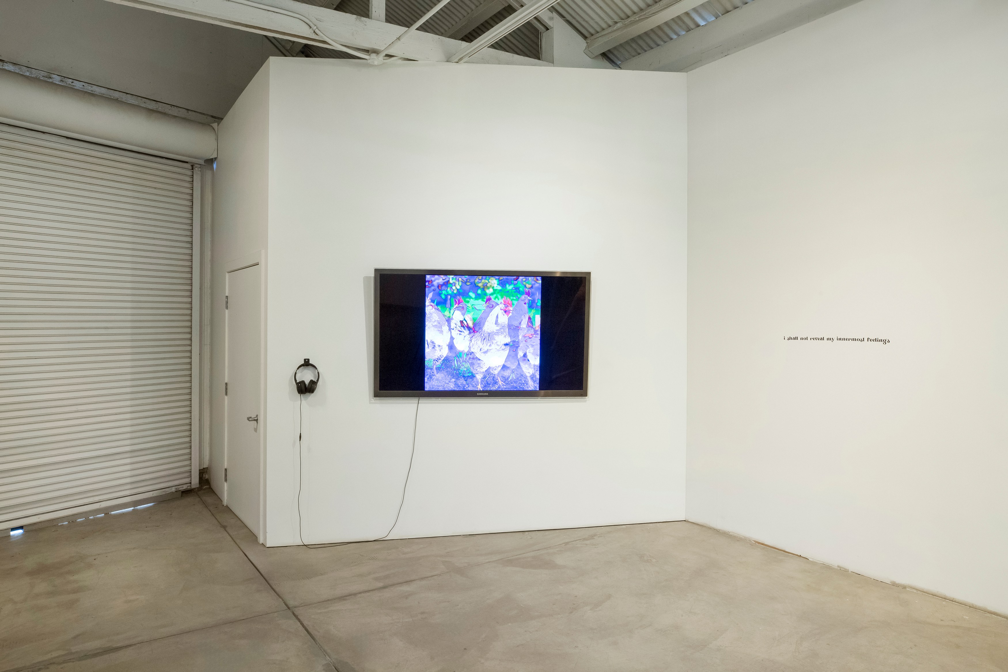 Chimera'd, Chimera'd at Phase Gallery, photo 13