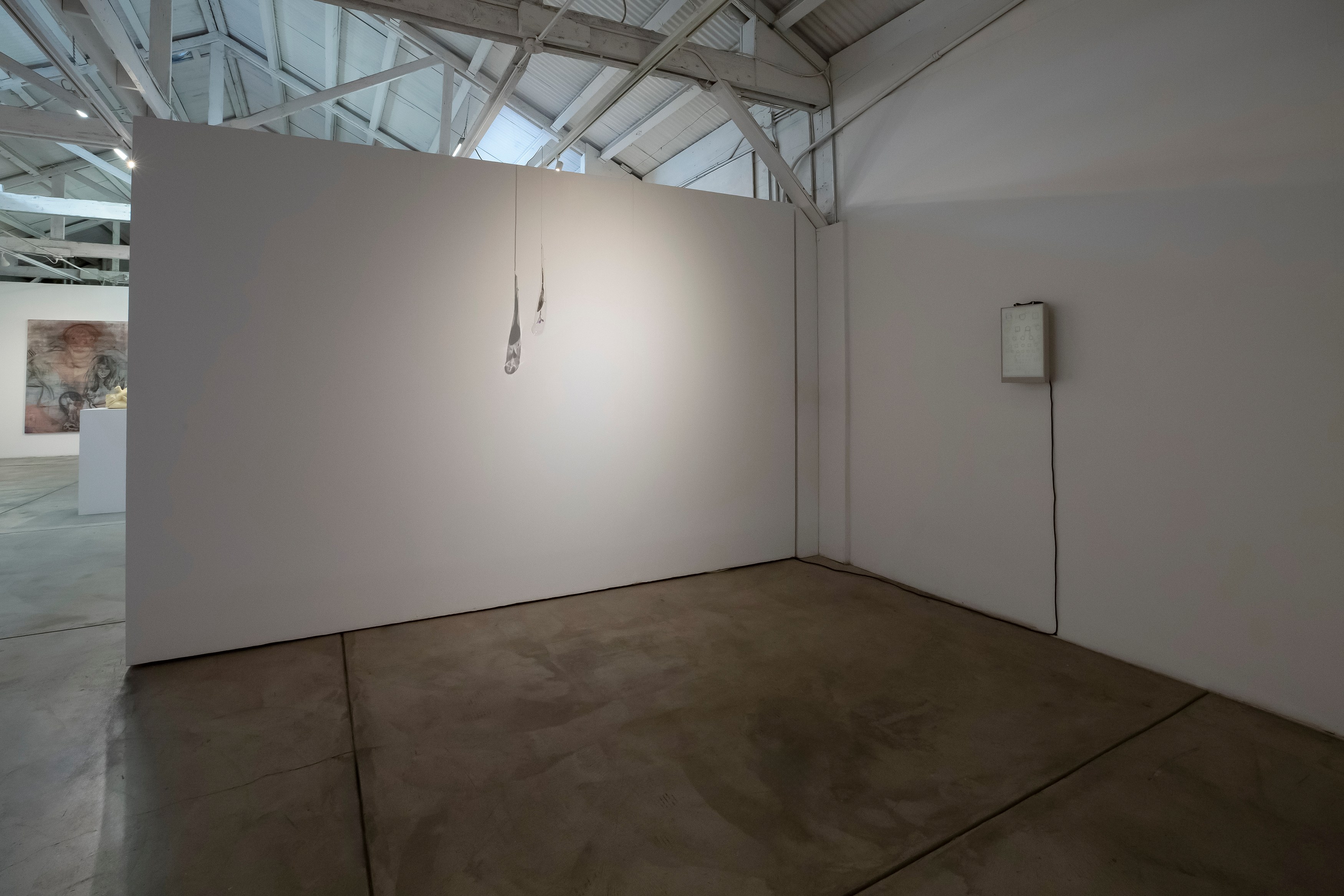 Chimera'd, Chimera'd at Phase Gallery, photo 17