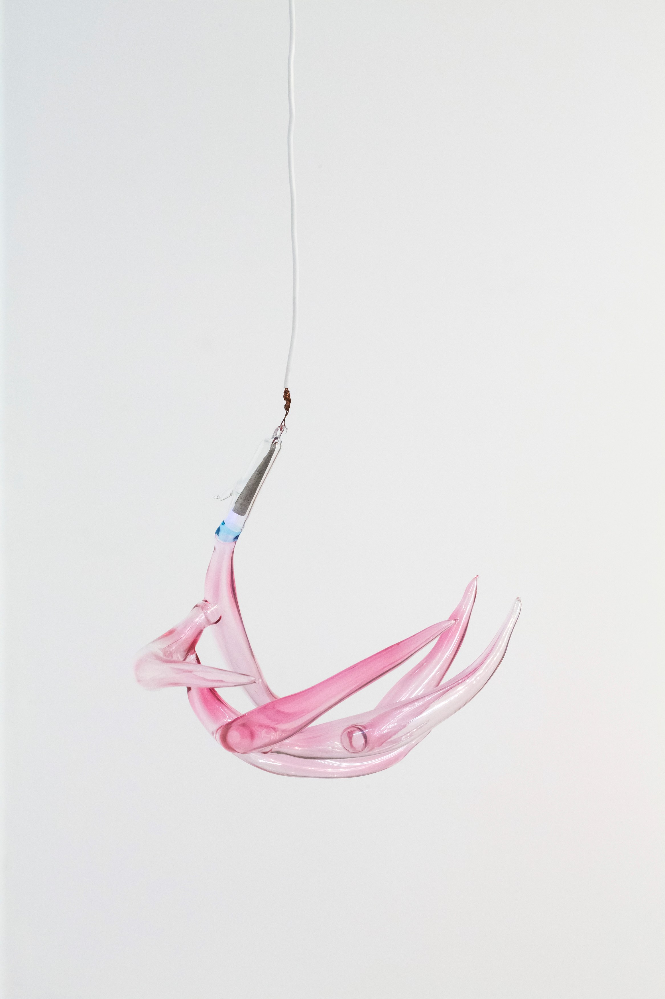Chimera'd, Chimera'd at Phase Gallery, photo 44