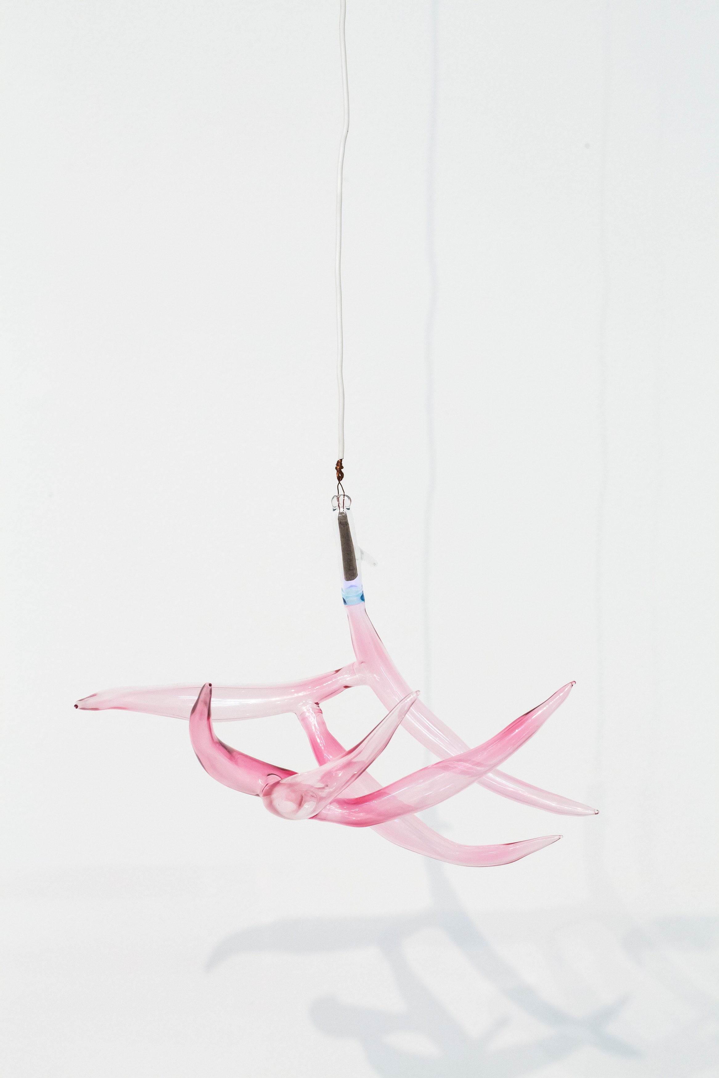 Chimera'd, Chimera'd at Phase Gallery, photo 47