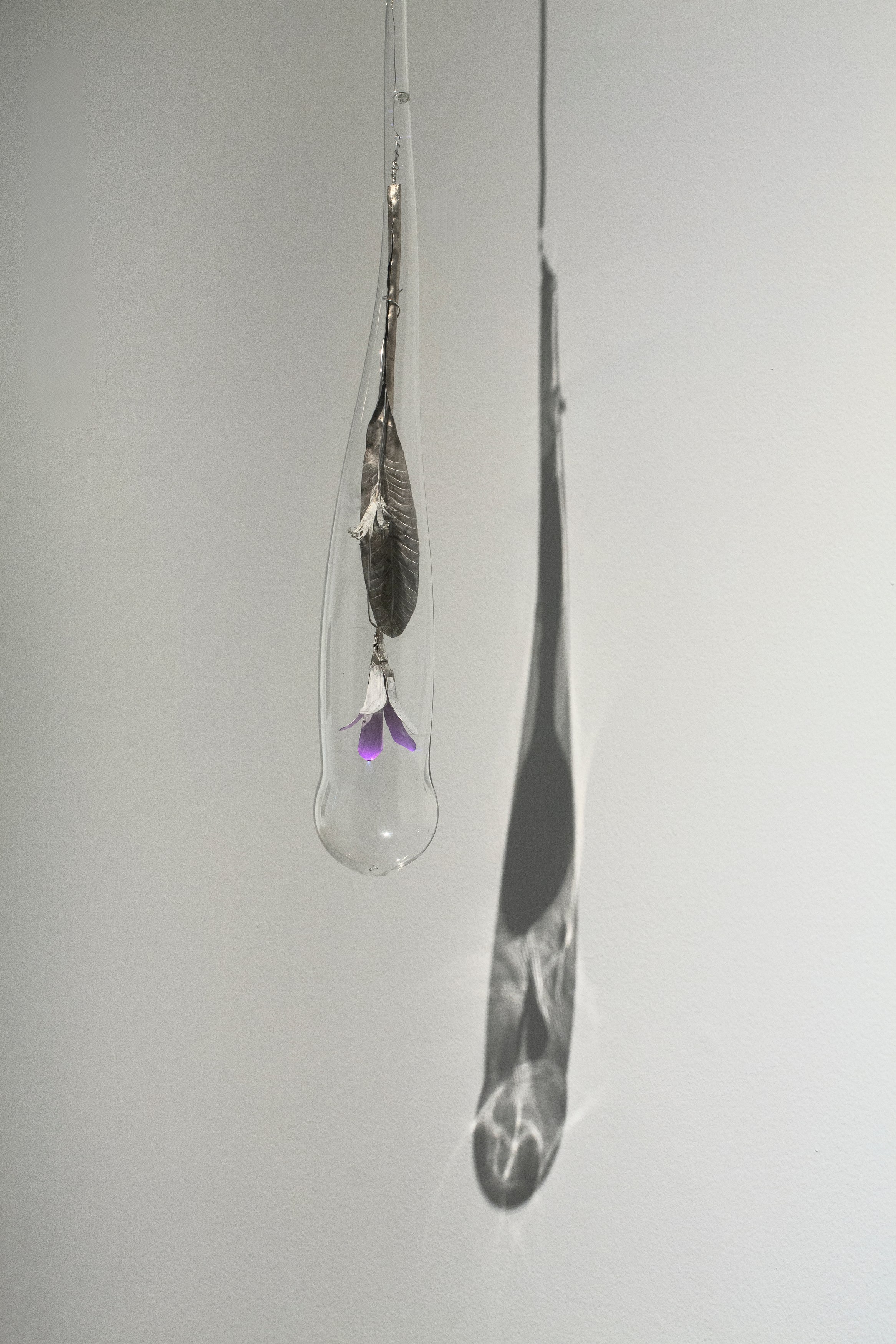 Chimera'd, Chimera'd at Phase Gallery, photo 49