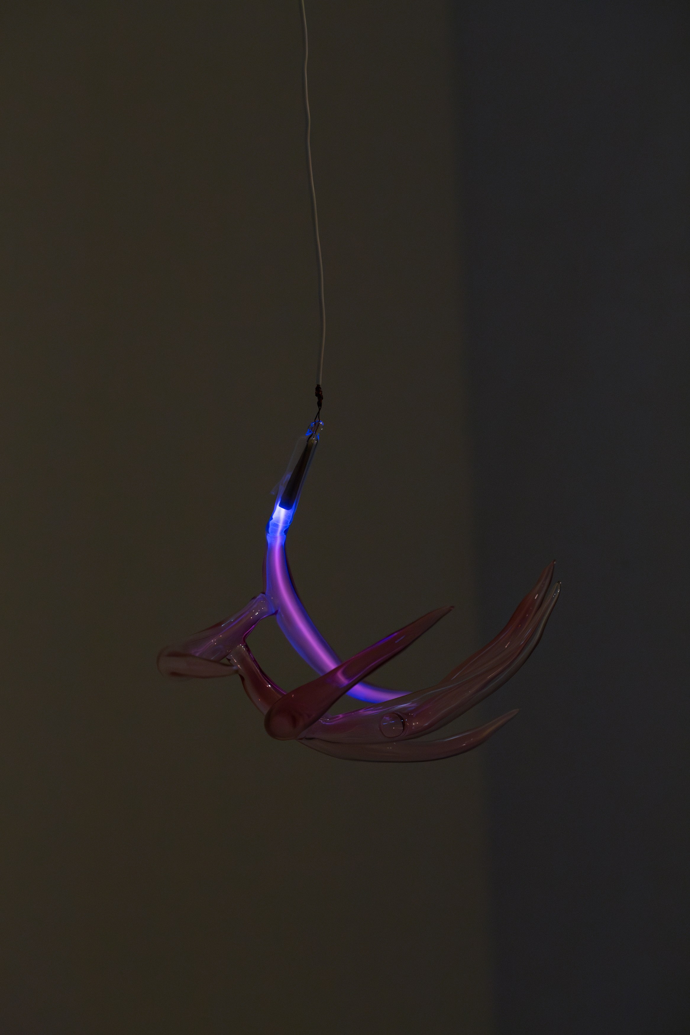 Chimera'd, Chimera'd at Phase Gallery, photo 52