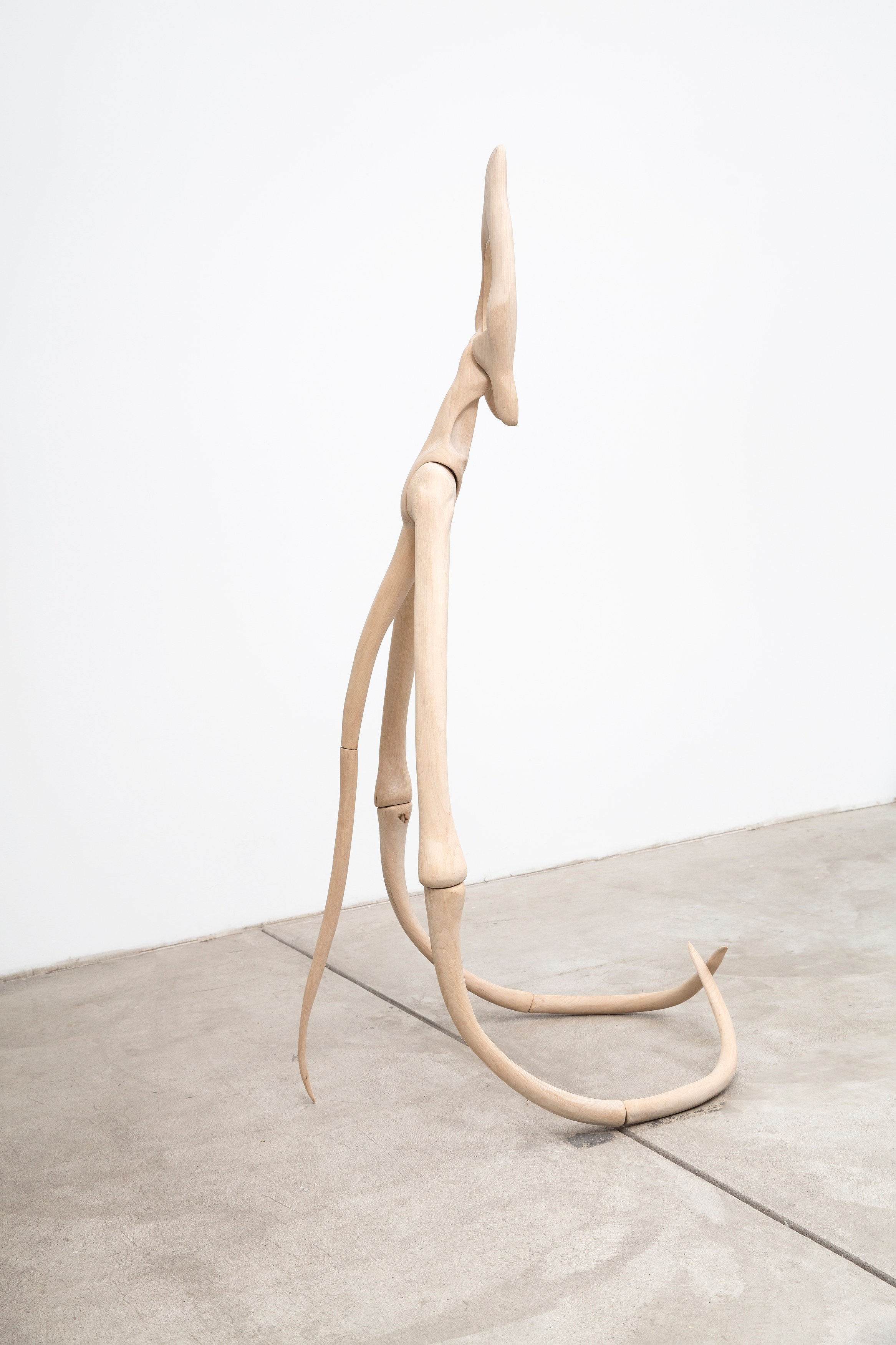 Chimera'd, Chimera'd at Phase Gallery, photo 64