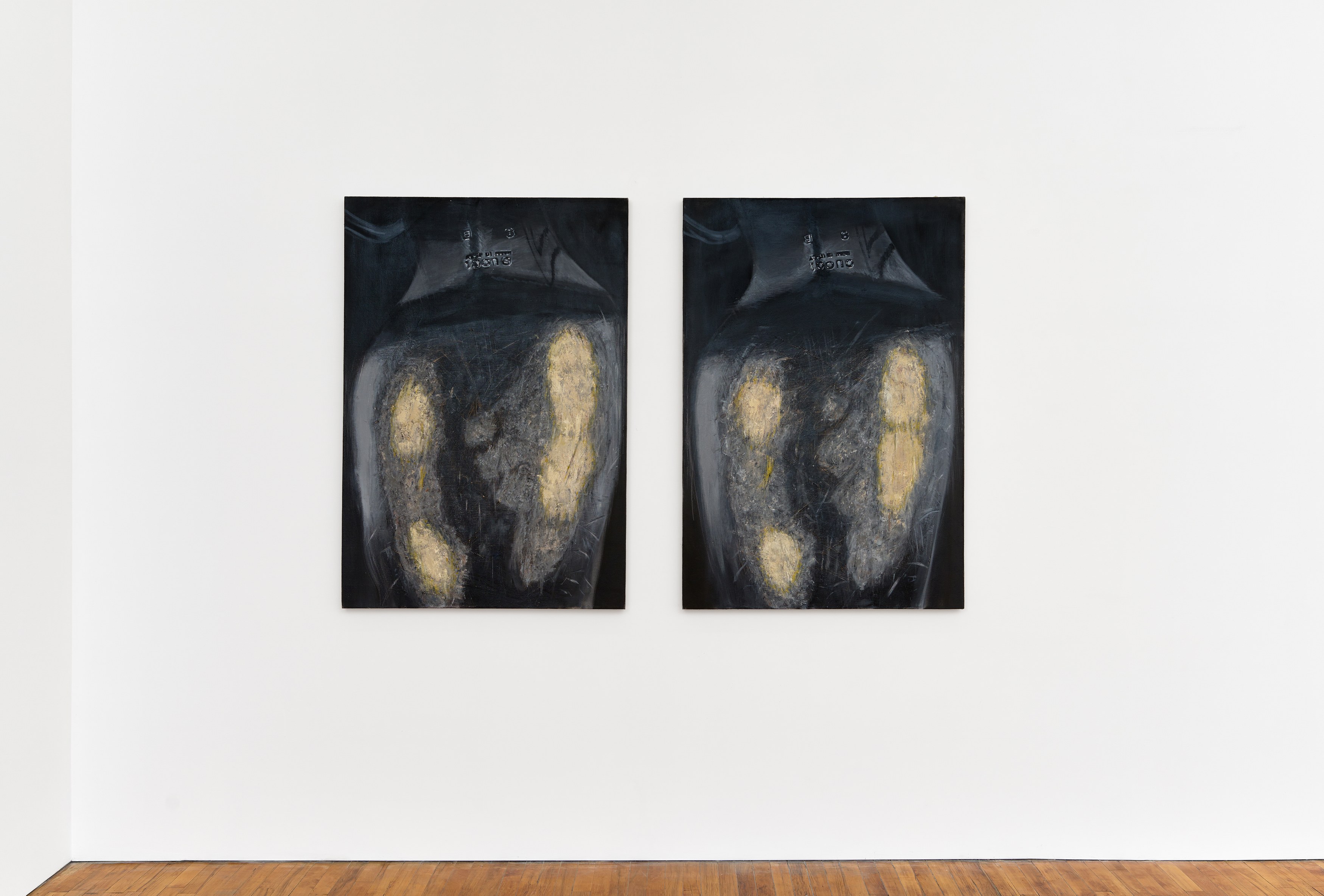 Madeleine Hines, As Is at Tara Downs, photo 6