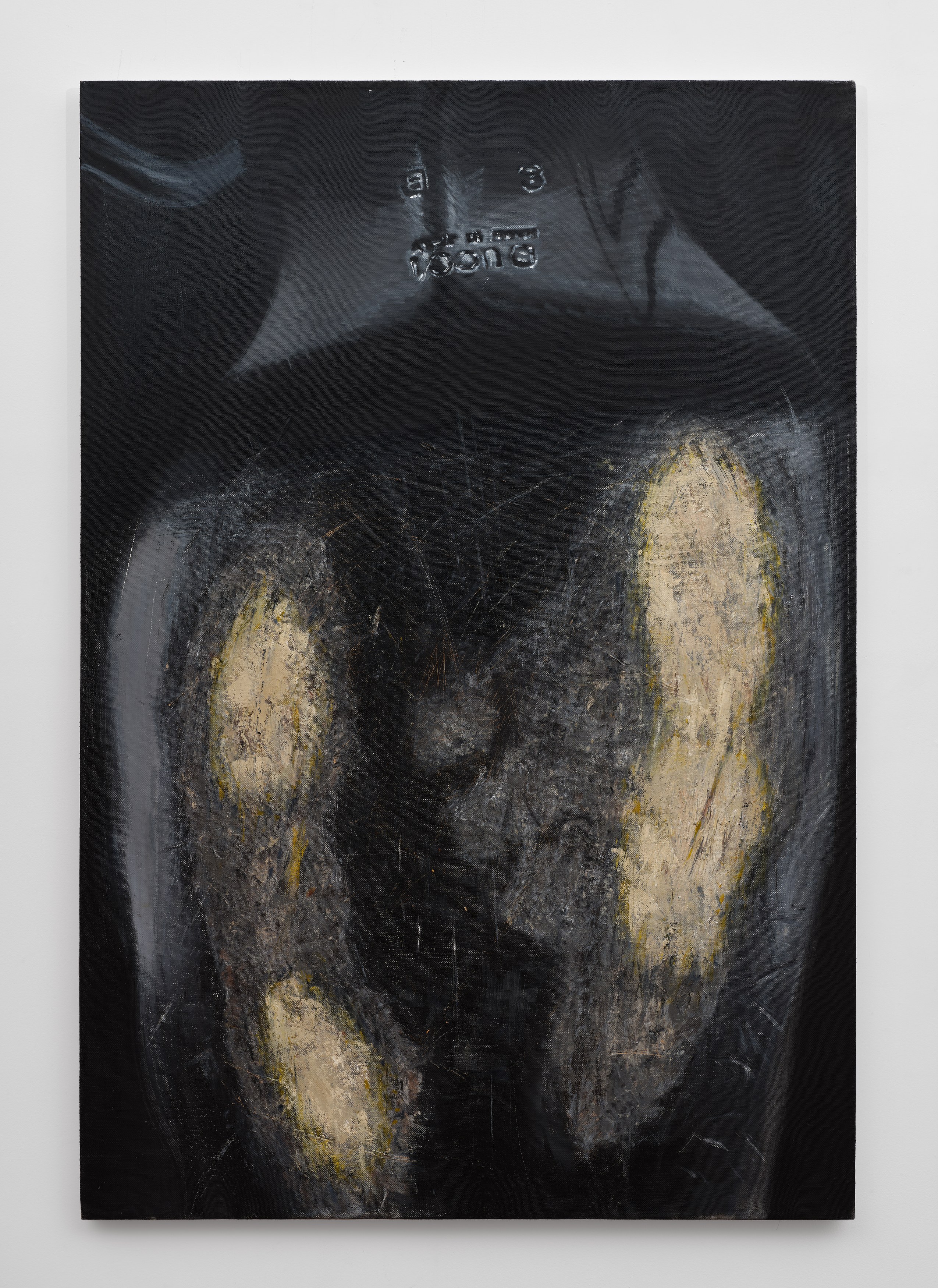 Madeleine Hines, As Is at Tara Downs, photo 8