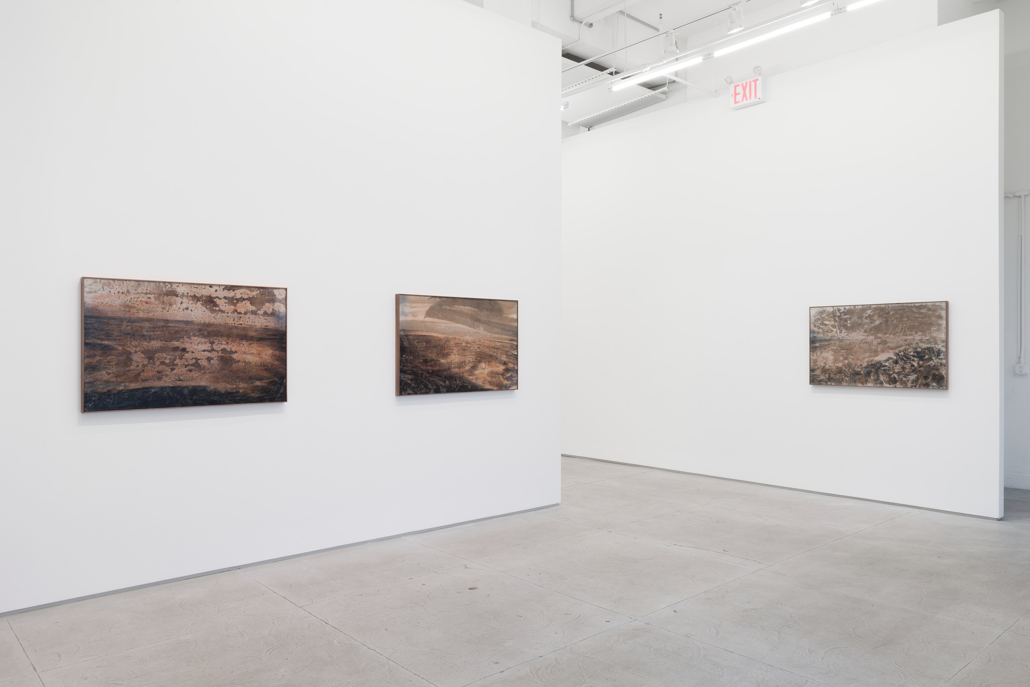 Installation view 5