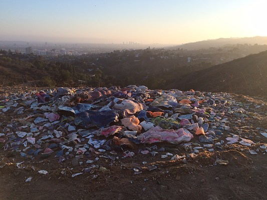 Image 18 of 53