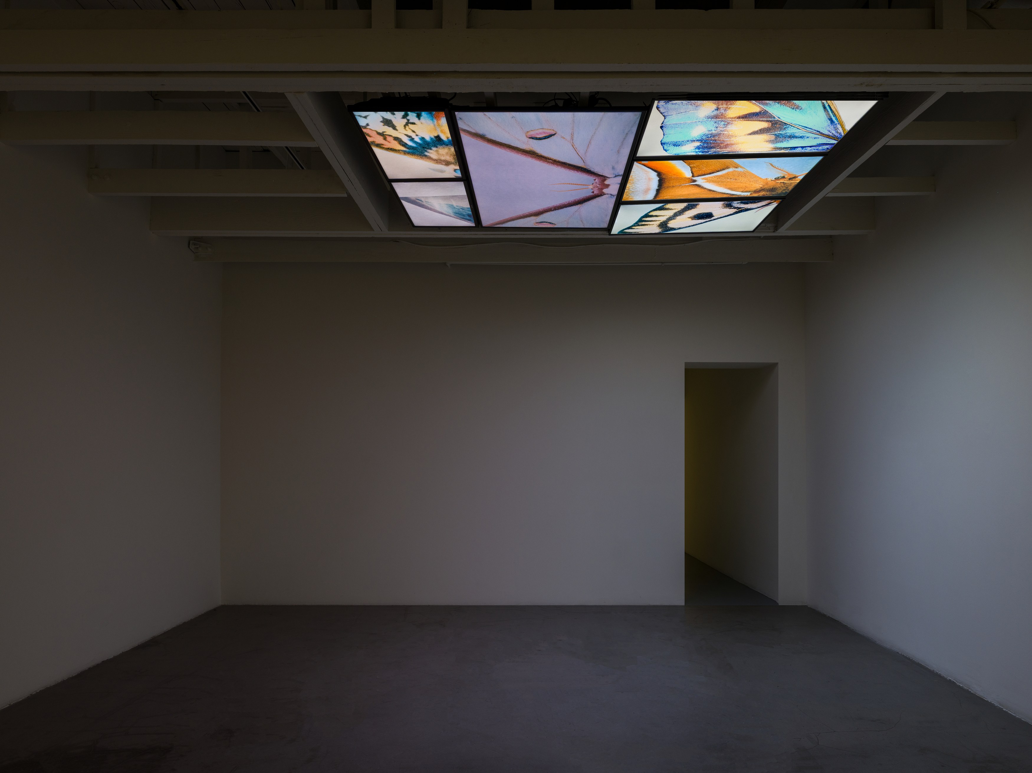 Michael Bala, Nancy Lupo, Grant Mooney, Gozié Ojini, Hirsch Perlman, Jennifer West, image 28 of 37