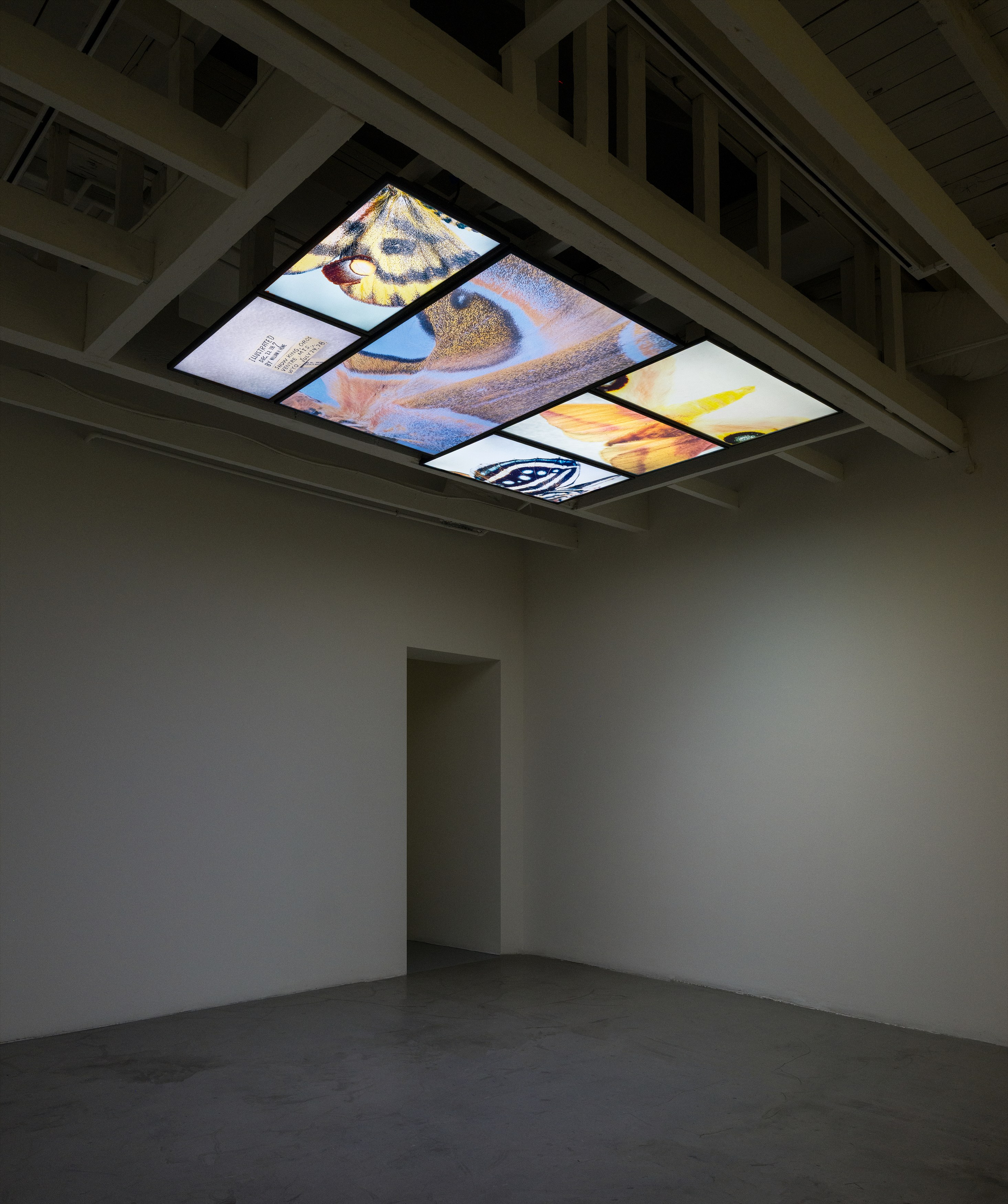 Michael Bala, Nancy Lupo, Grant Mooney, Gozié Ojini, Hirsch Perlman, Jennifer West, image 29 of 37