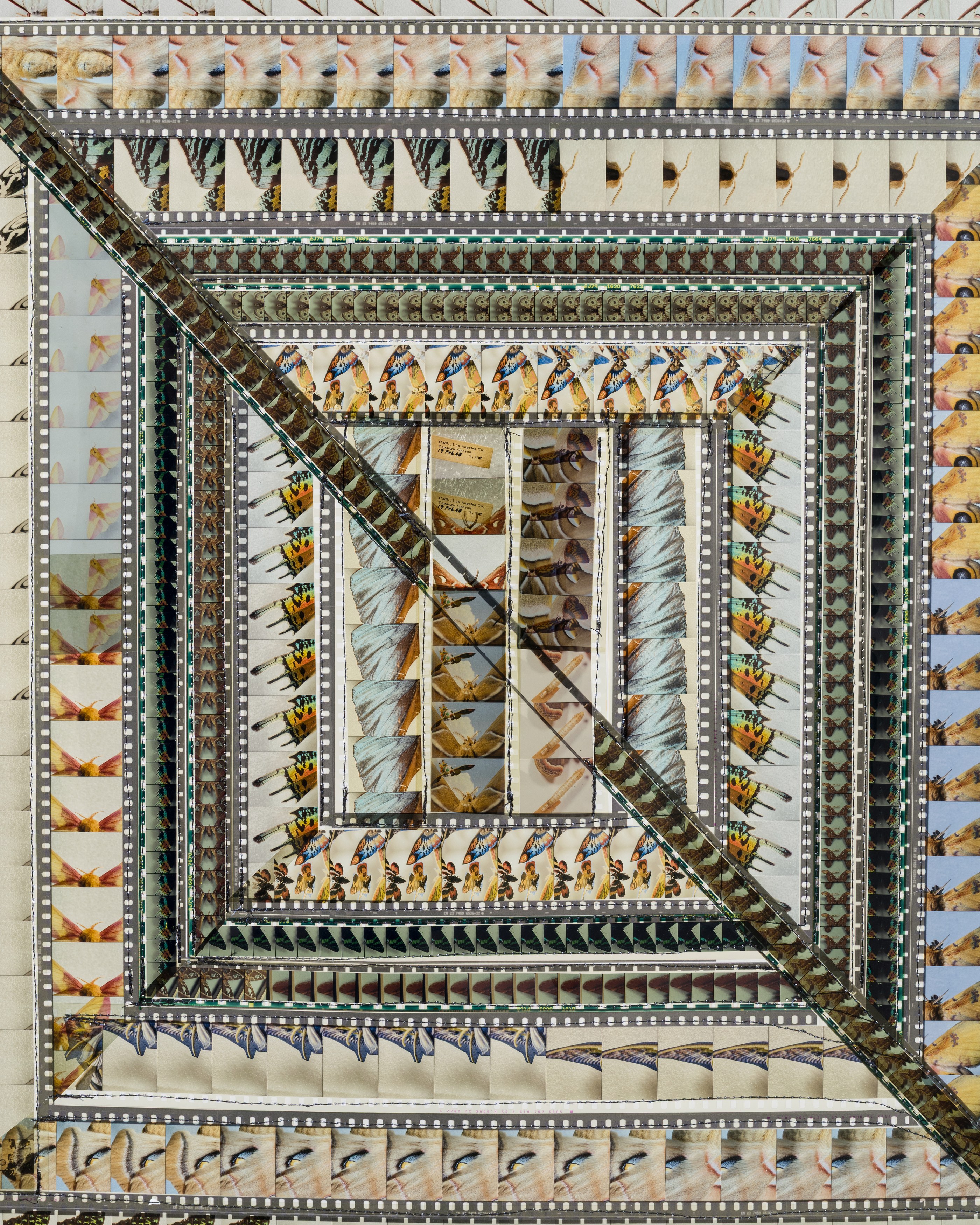 Michael Bala, Nancy Lupo, Grant Mooney, Gozié Ojini, Hirsch Perlman, Jennifer West, image 34 of 37