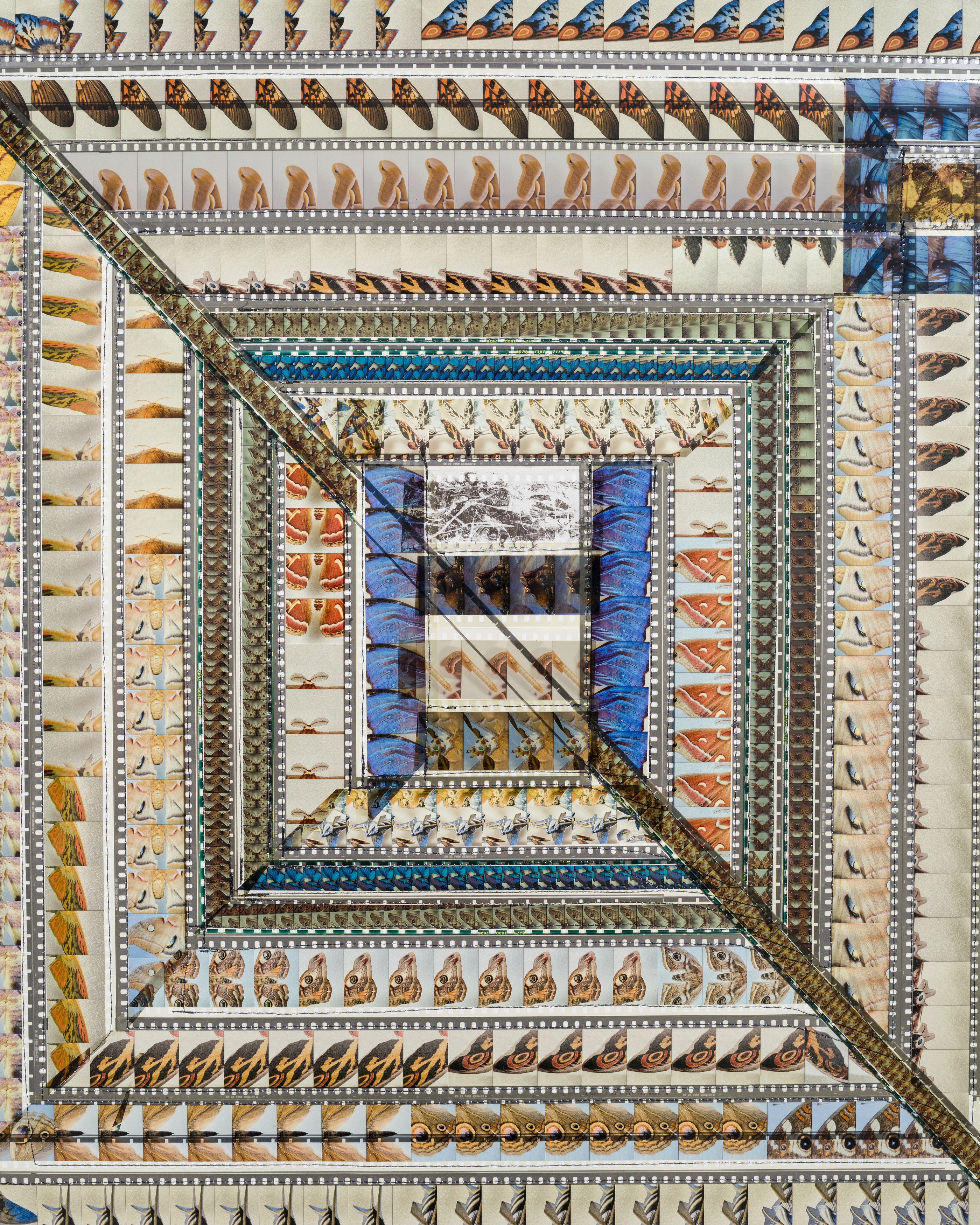 Michael Bala, Nancy Lupo, Grant Mooney, Gozié Ojini, Hirsch Perlman, Jennifer West, image 32 of 37