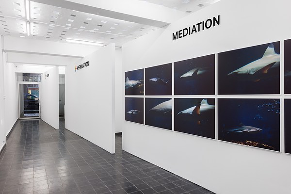 Image 2 of 14