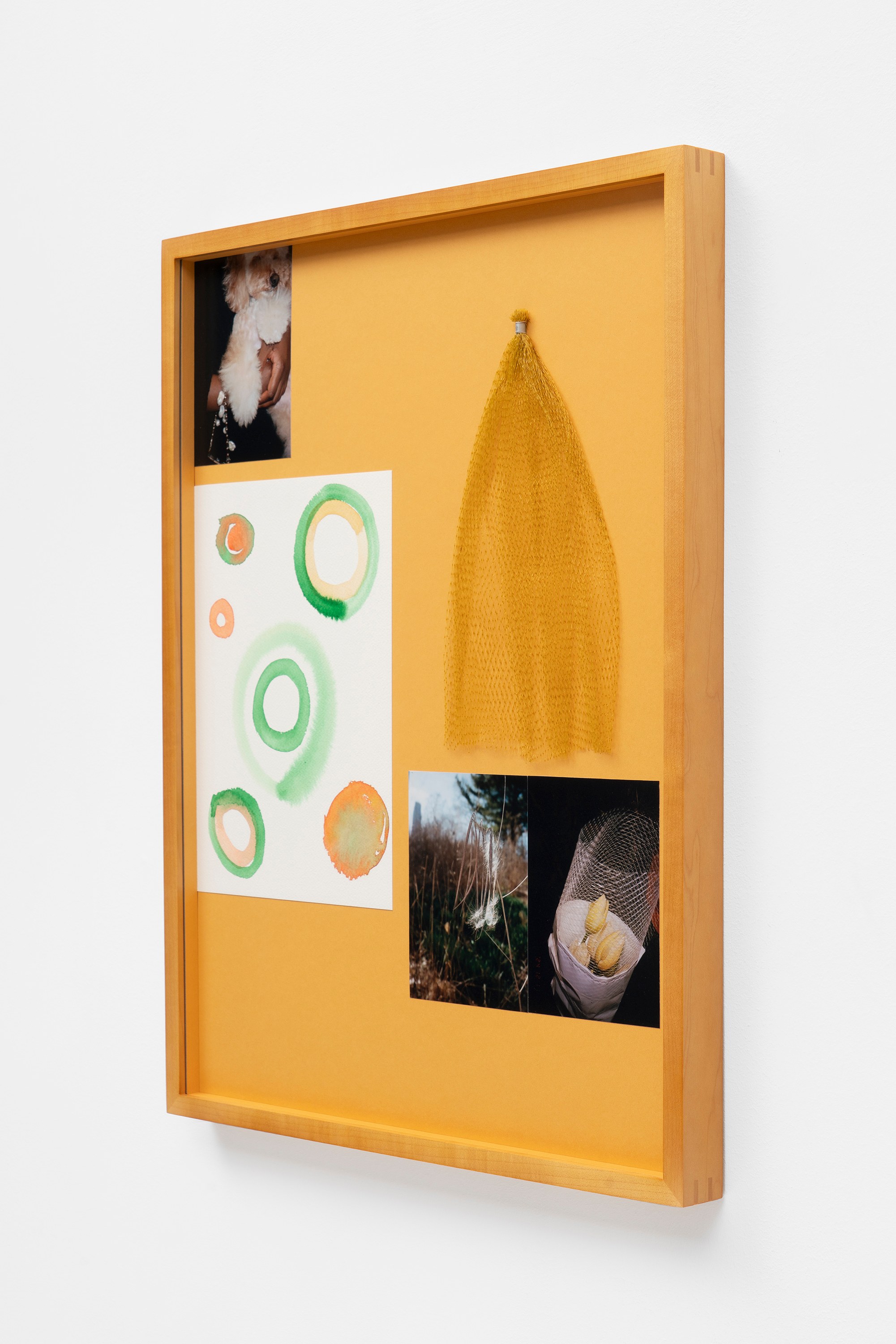 Installation view 11