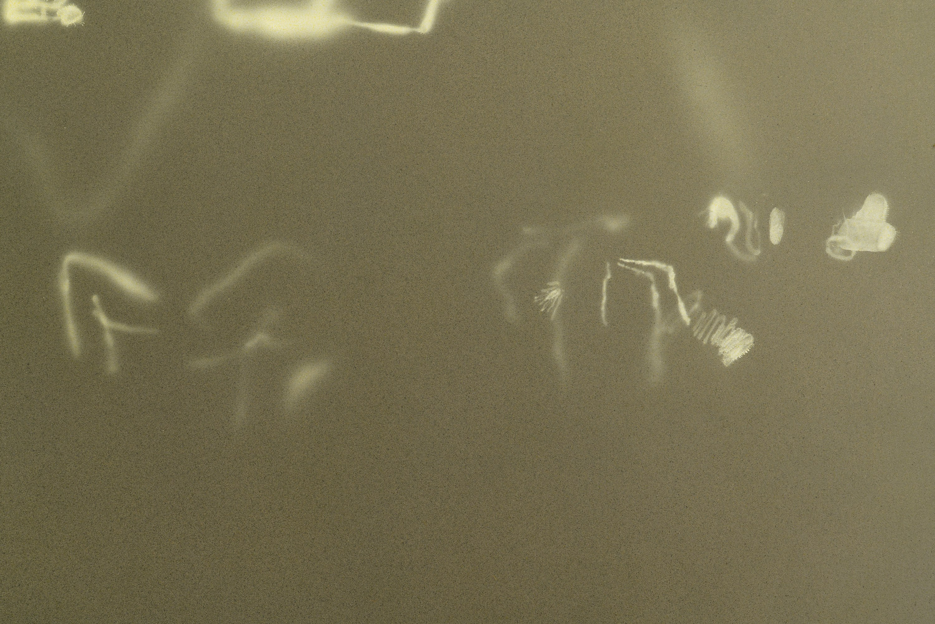 Jerónimo Rüedi, Preaesns at Bureau, photo 23
