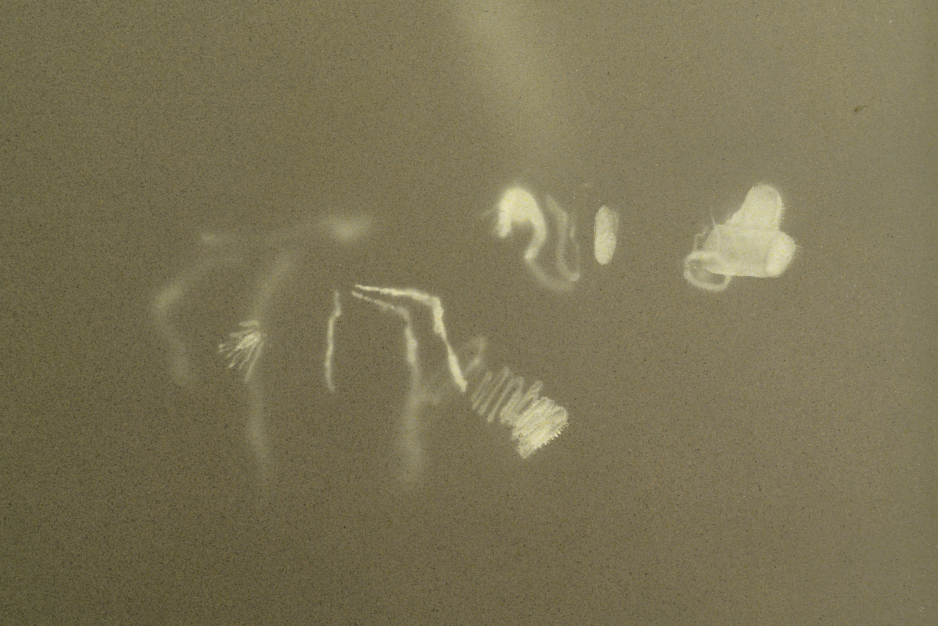 Jerónimo Rüedi, Preaesns at Bureau, photo 22