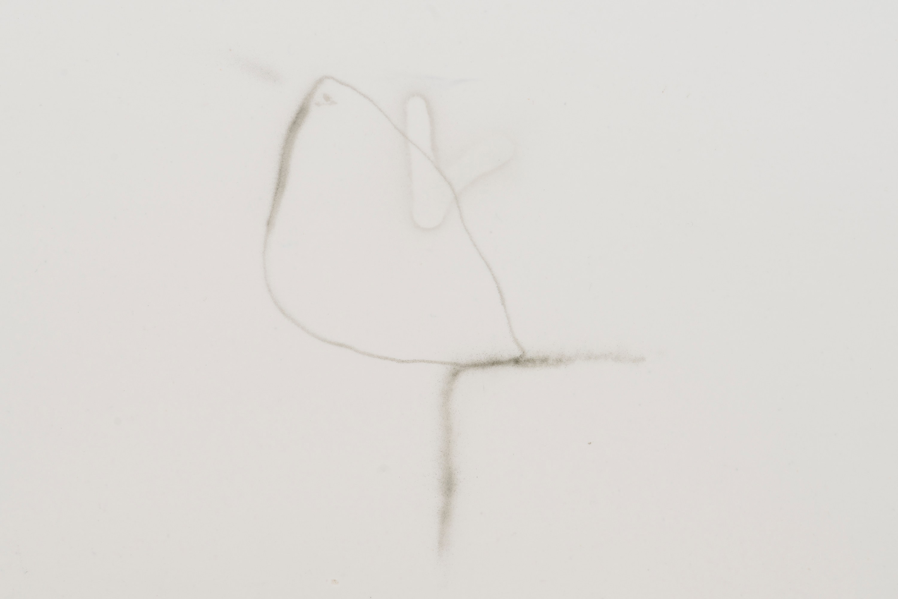Jerónimo Rüedi, Preaesns at Bureau, photo 27