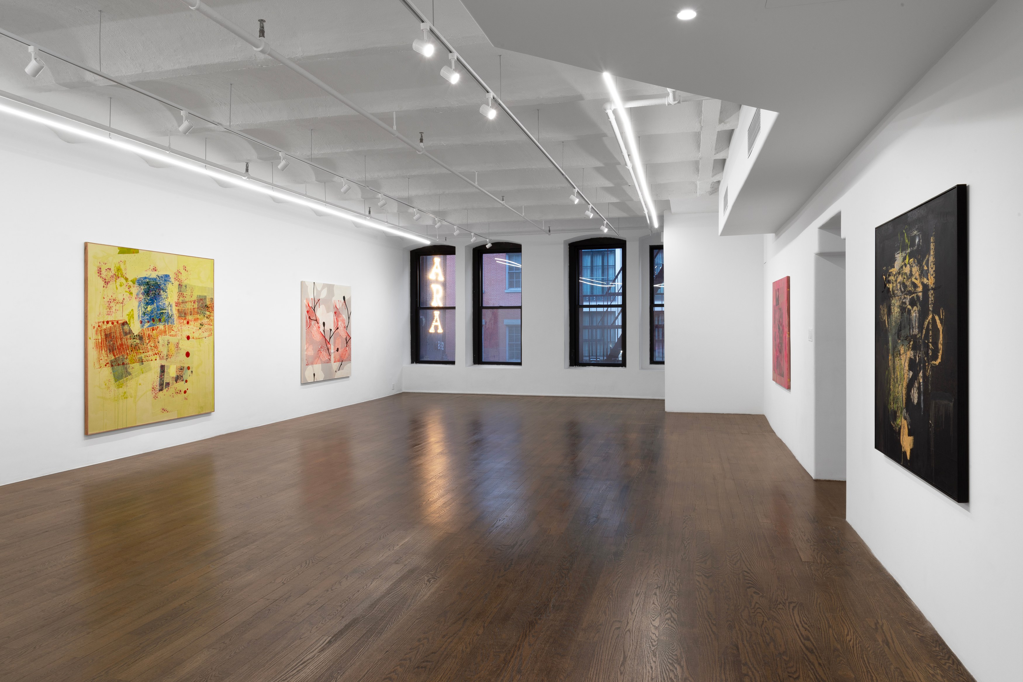 Andy Meerow, Heart of Palm at Derosia, photo 4