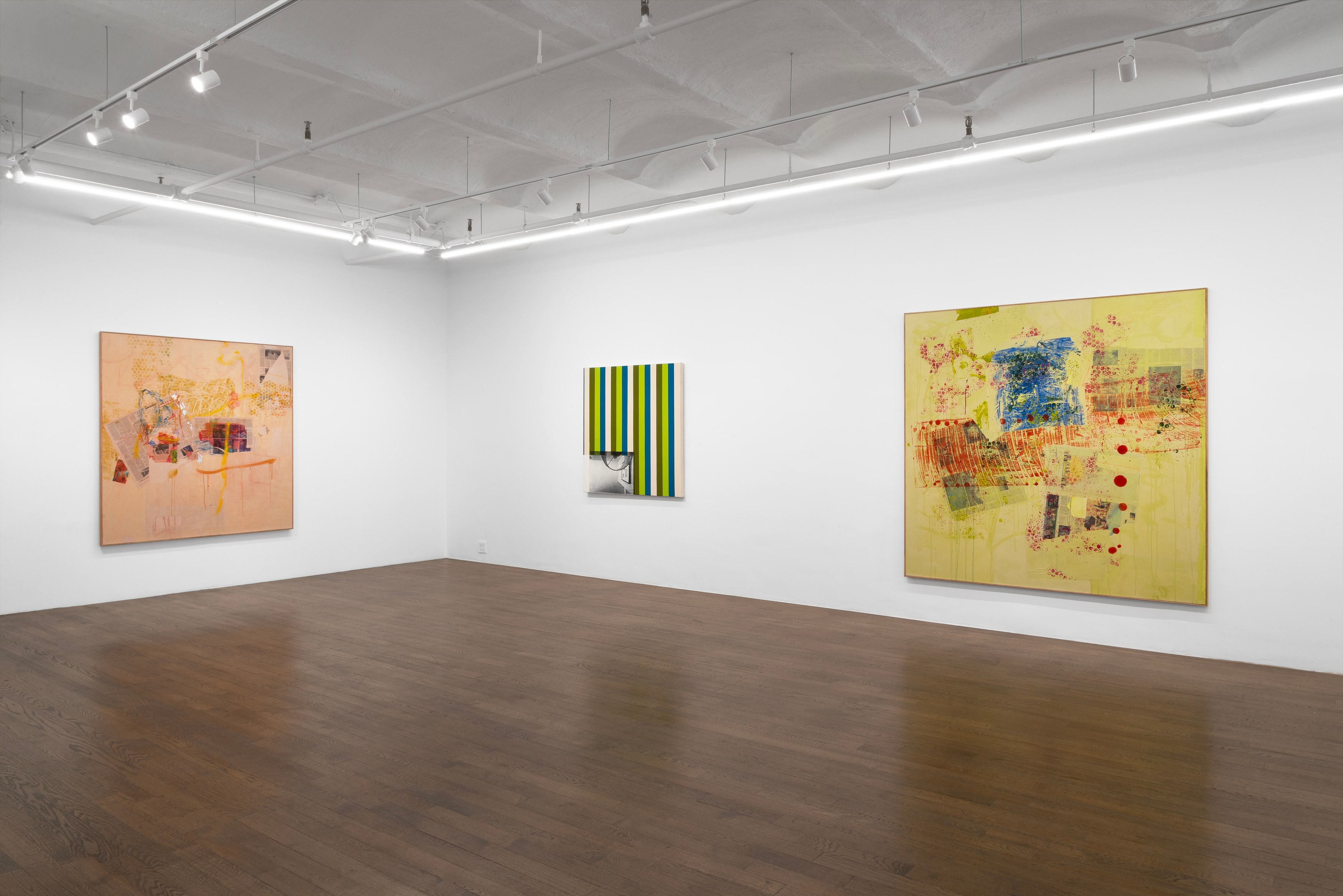 Andy Meerow, Heart of Palm at Derosia, photo 2