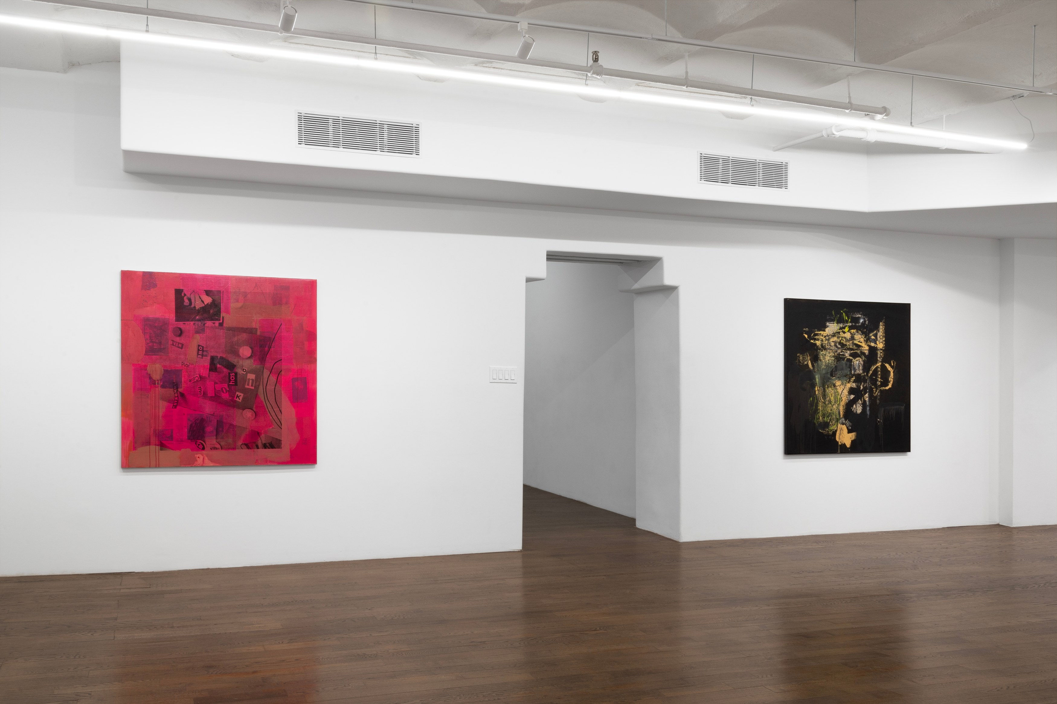 Andy Meerow, Heart of Palm at Derosia, photo 6