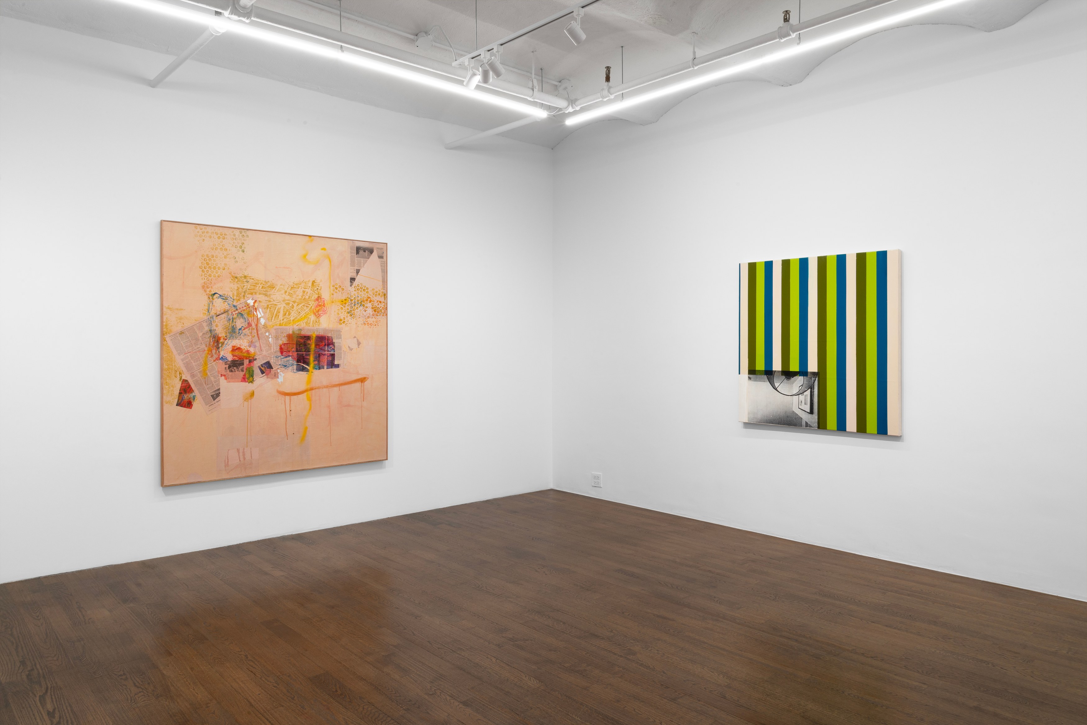 Andy Meerow, Heart of Palm at Derosia, photo 3
