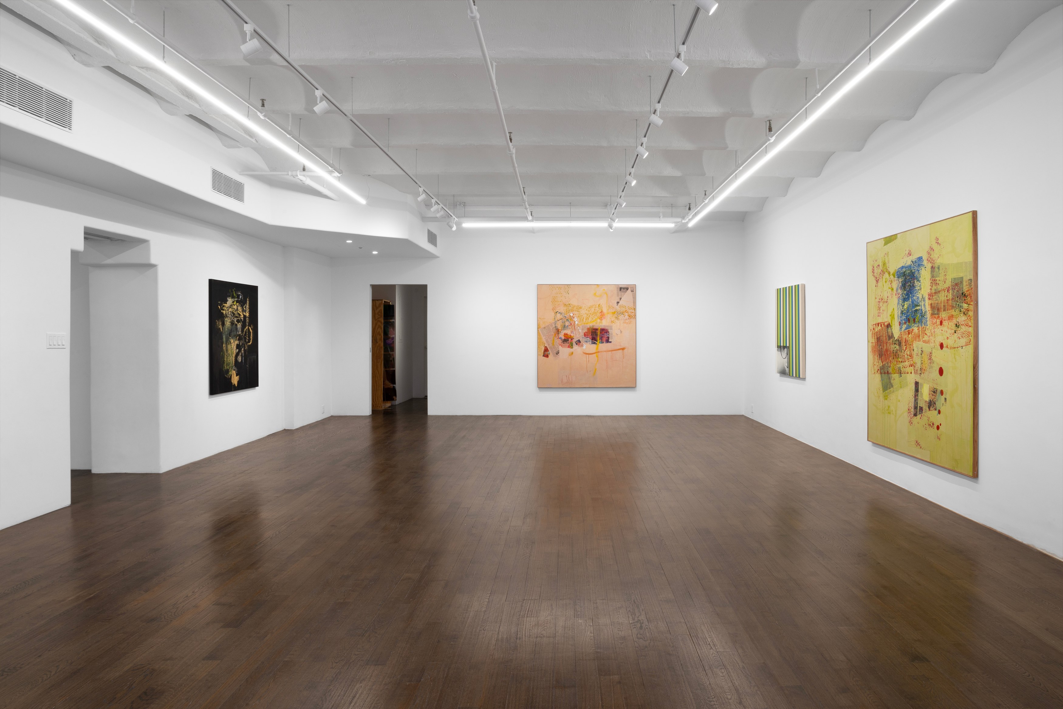 Andy Meerow, Heart of Palm at Derosia, photo 5