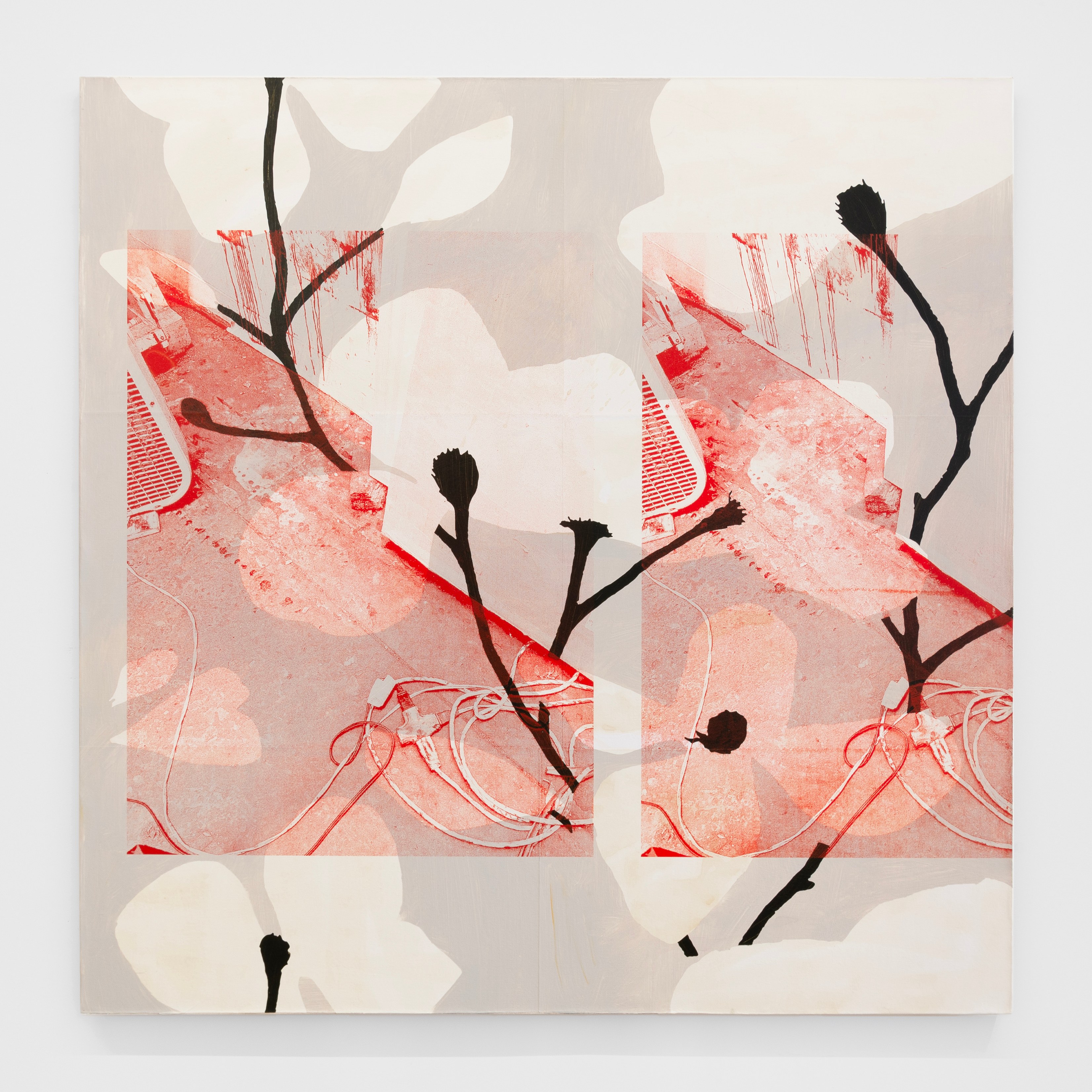 Andy Meerow, Heart of Palm at Derosia, photo 10