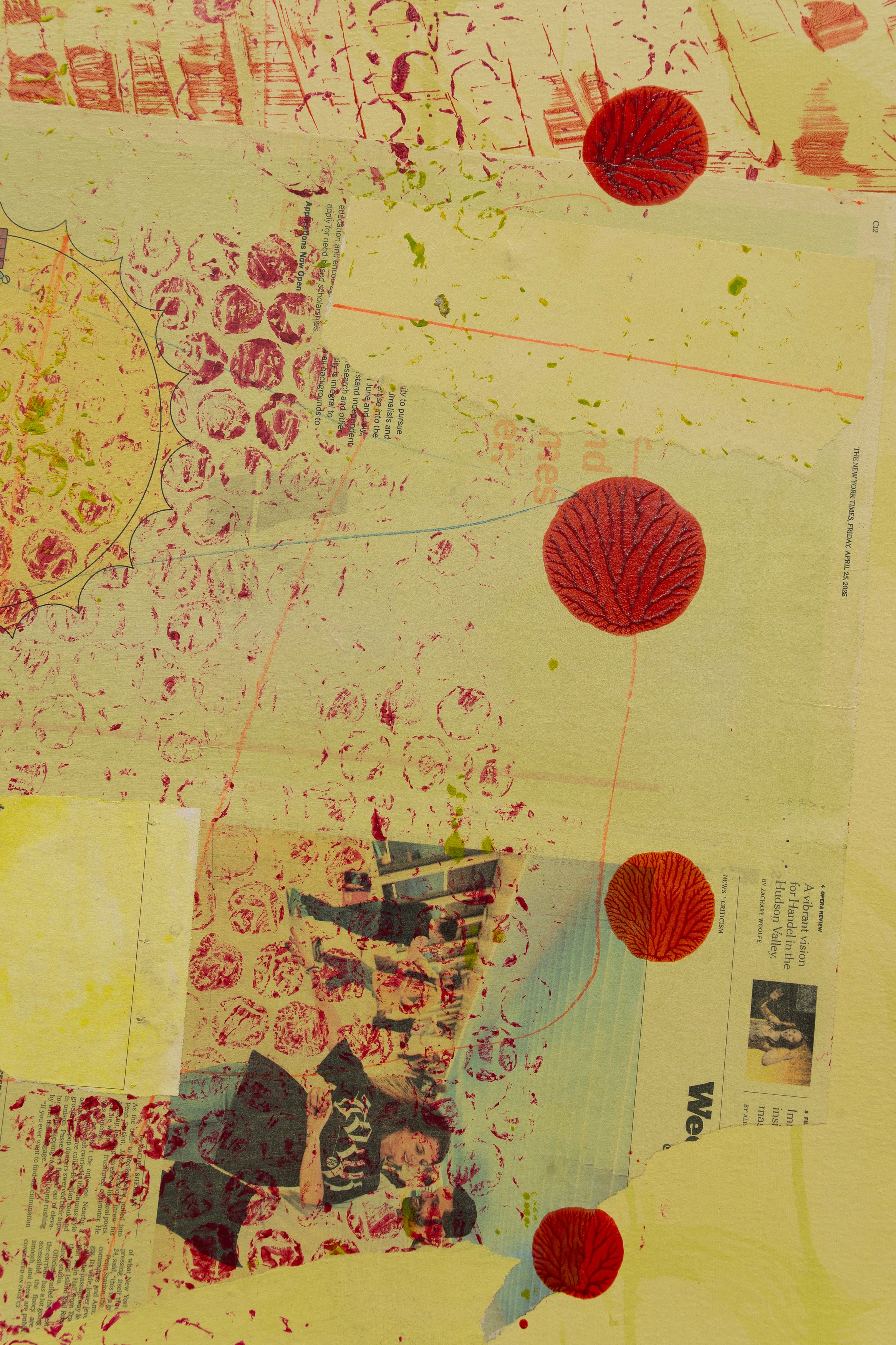 Andy Meerow, Heart of Palm at Derosia, photo 9