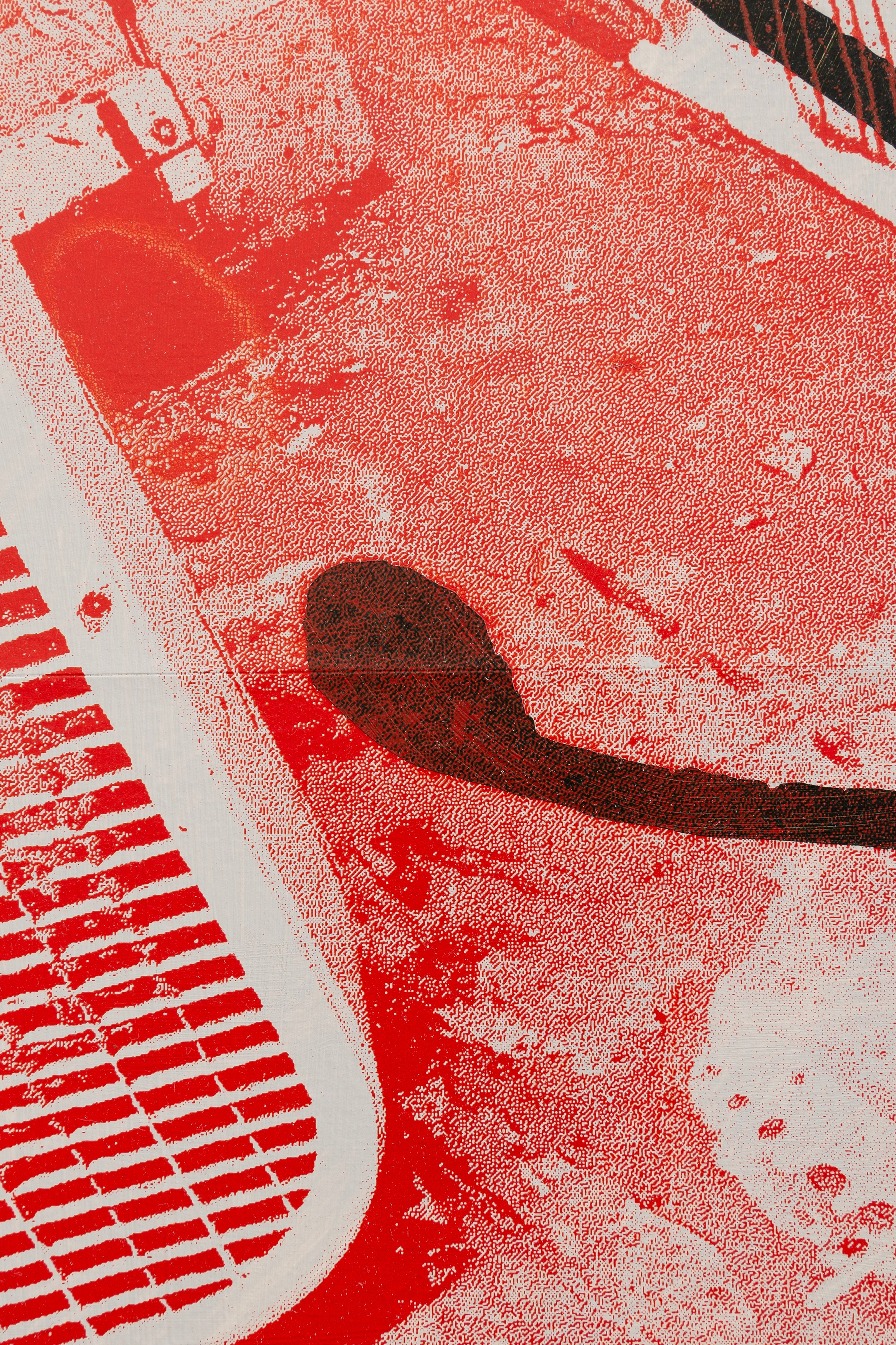 Andy Meerow, Heart of Palm at Derosia, photo 11