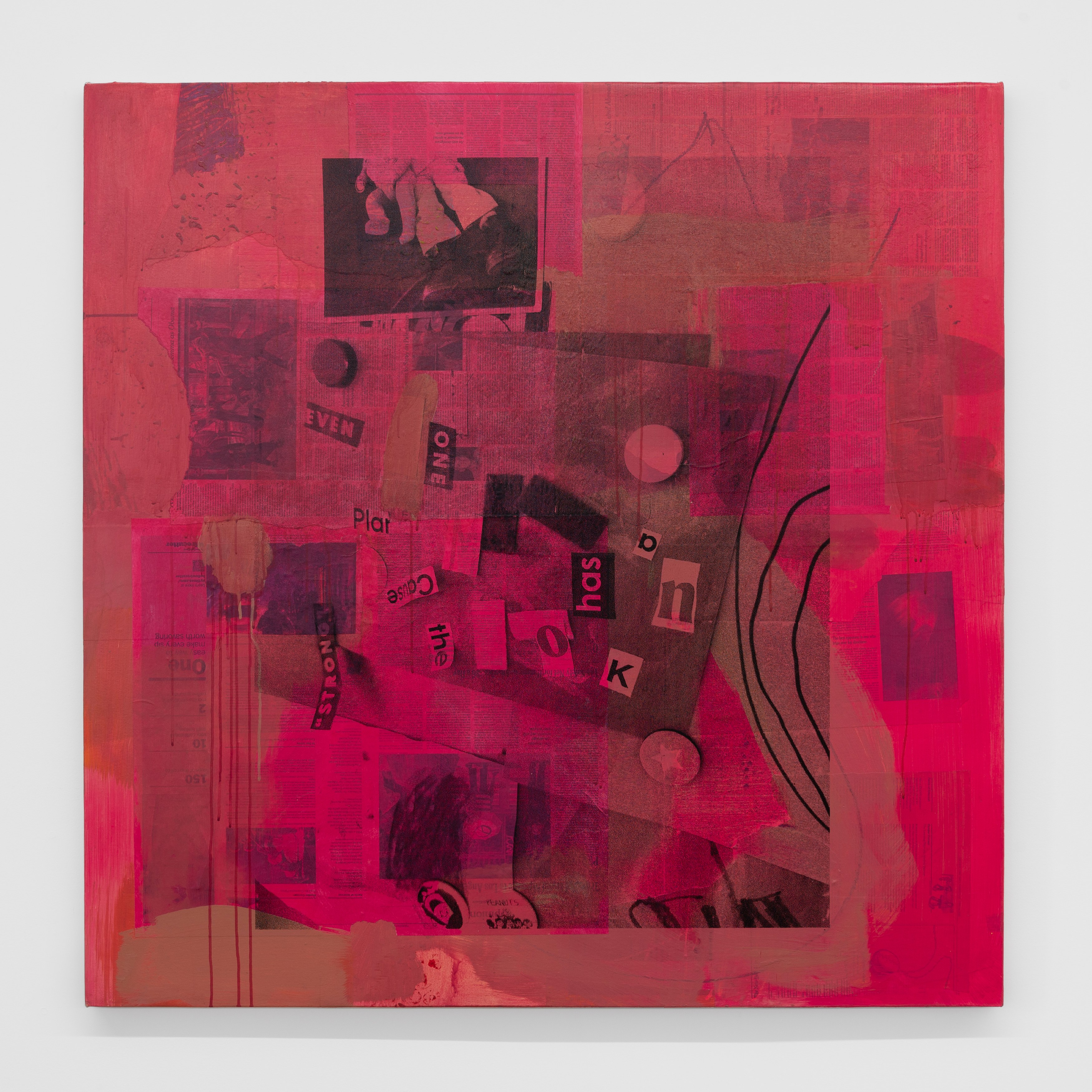 Andy Meerow, Heart of Palm at Derosia, photo 13