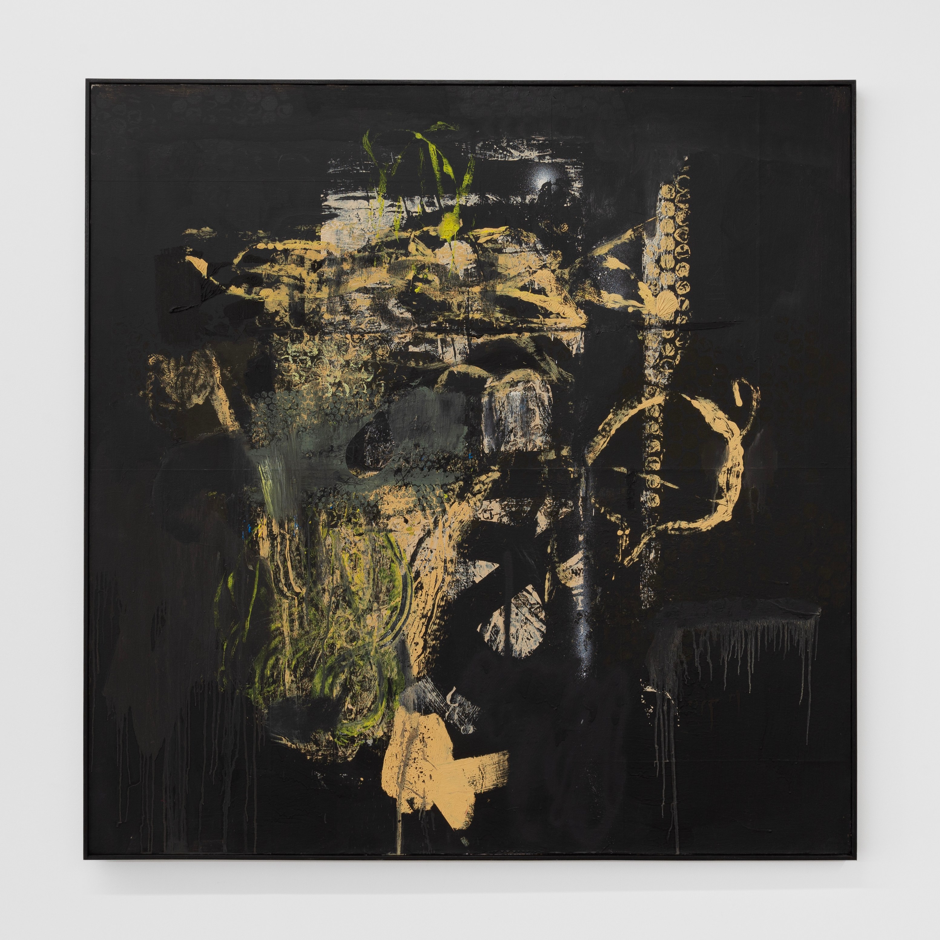Andy Meerow, Heart of Palm at Derosia, photo 16